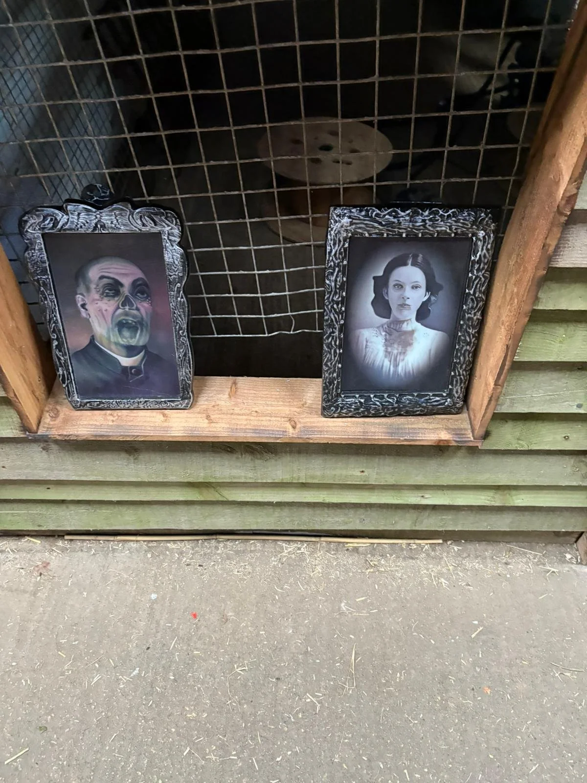 halloween photos.jpg