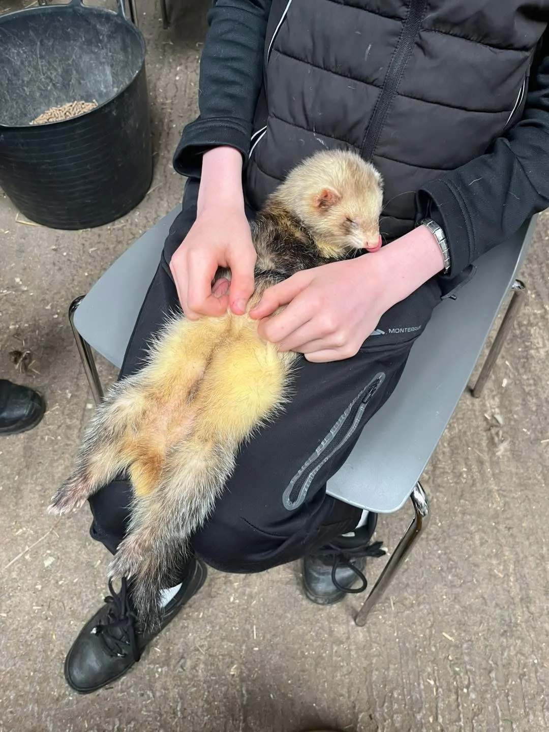 boris having a cuddle.jpg