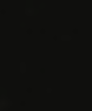 Bar Calico Is Closed For A Private Event, Thursday February 12th