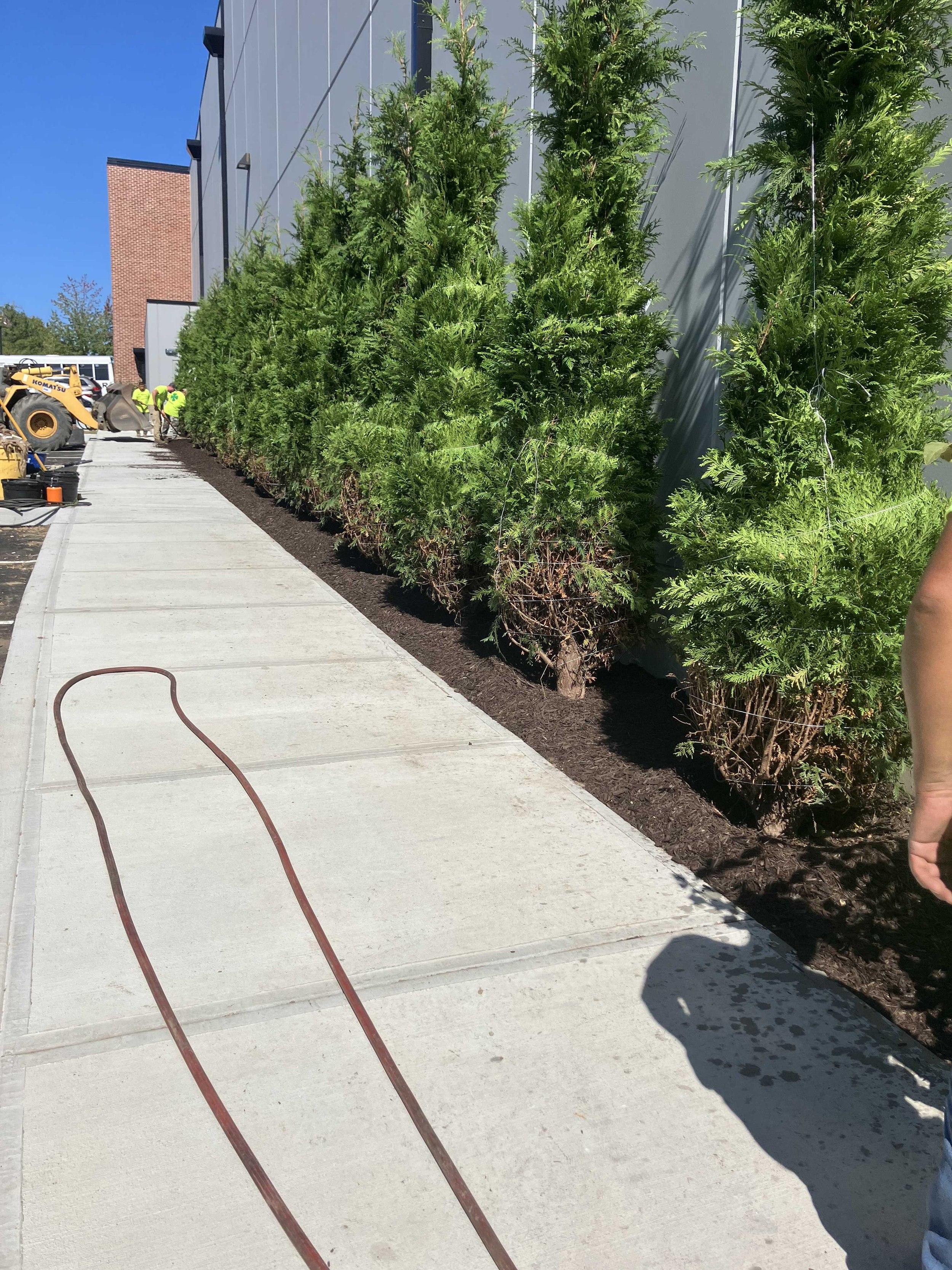 west plantings complete.JPEG