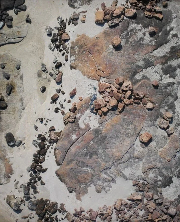 I spy with my little drone eye something beginning with G!⁠
⁠
NACAS PhD student Aliesha Hvala has been flying drones out on Groote Eylandt with the 
@anindilyakwarangers and detected plenty of marine debris just like this. ⁠
⁠
Can you work out what i