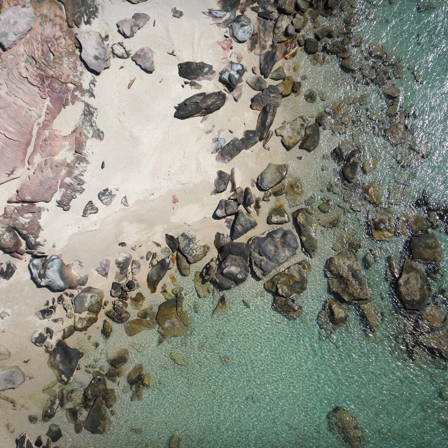 CDU mana sapien vitae