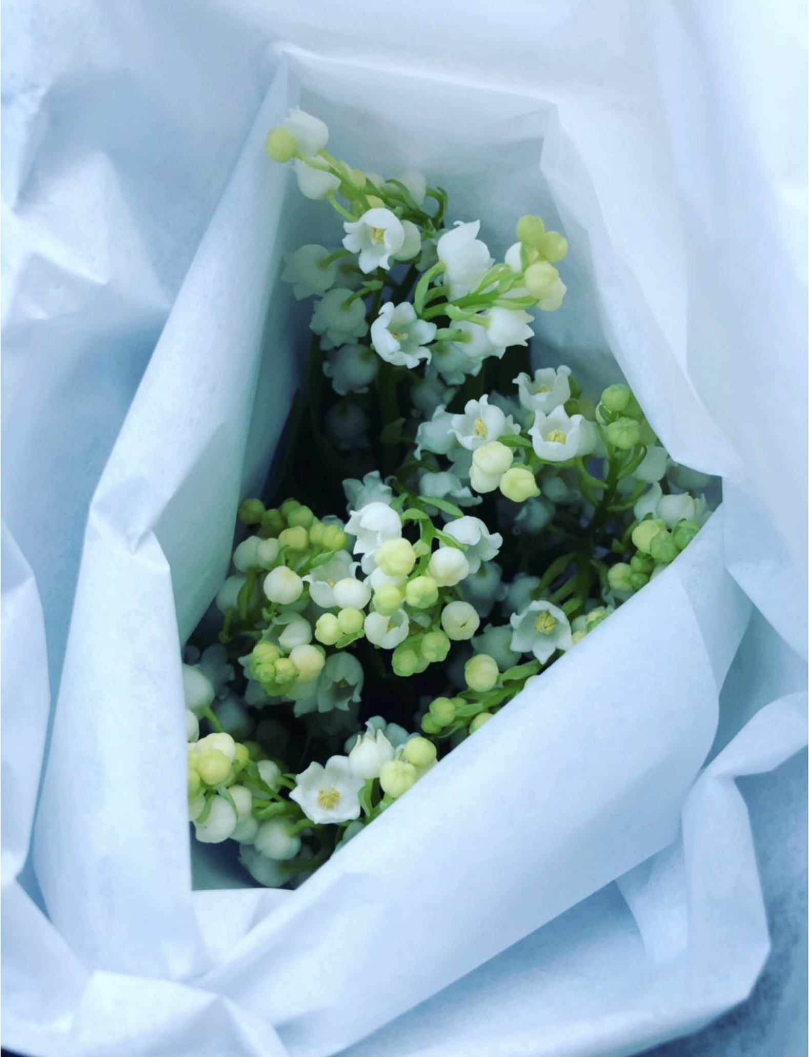 Screenshot 2024-05-29 at 1.09.00 PM.png