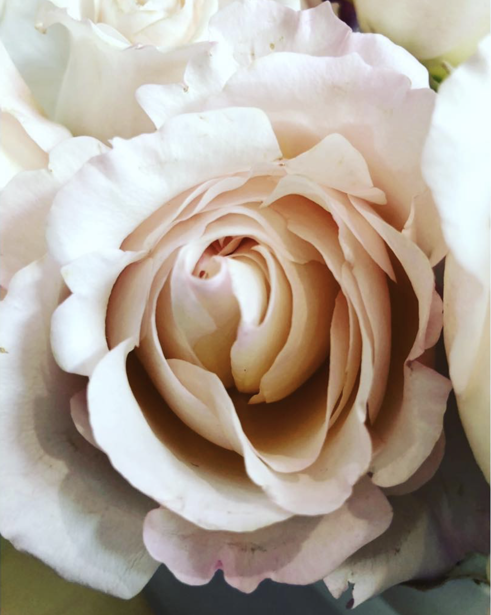 Screenshot 2024-05-29 at 1.11.59 PM.png