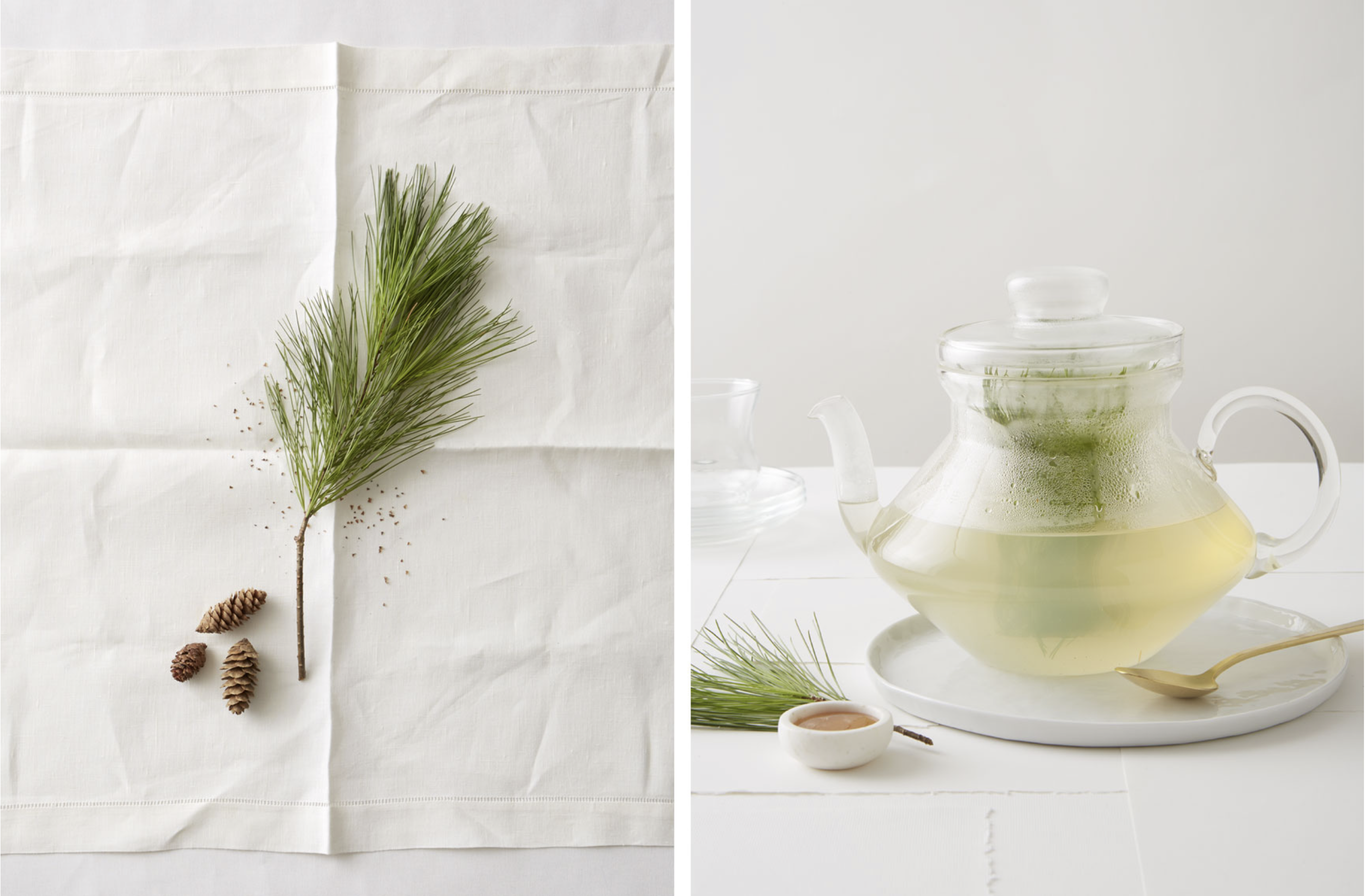 Screenshot 2026-02-12 at 2.30.58 PM.png