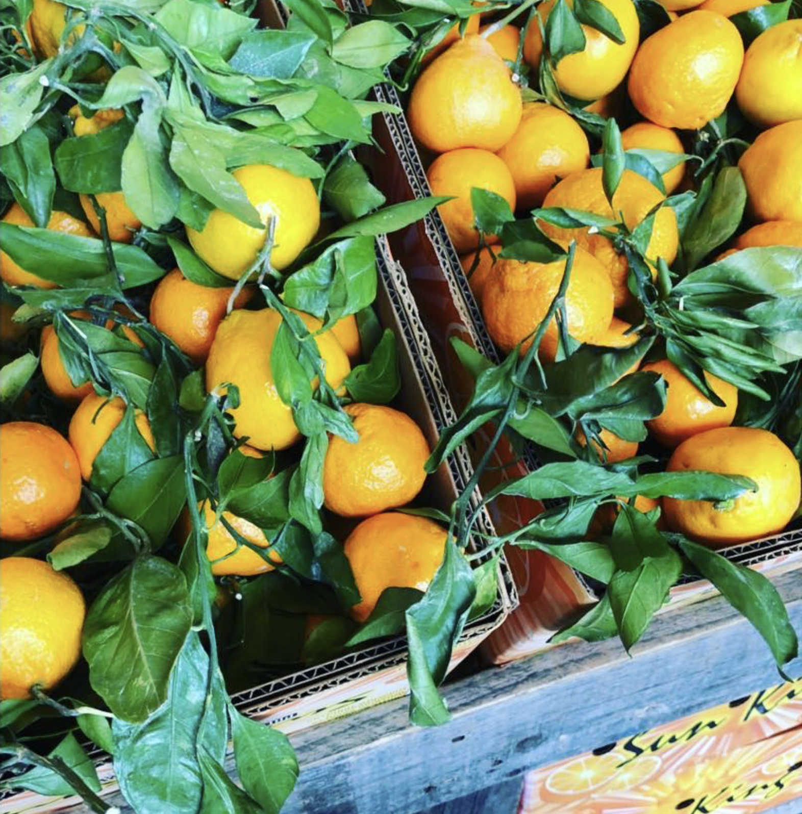 Screenshot 2024-05-29 at 1.12.35 PM.png