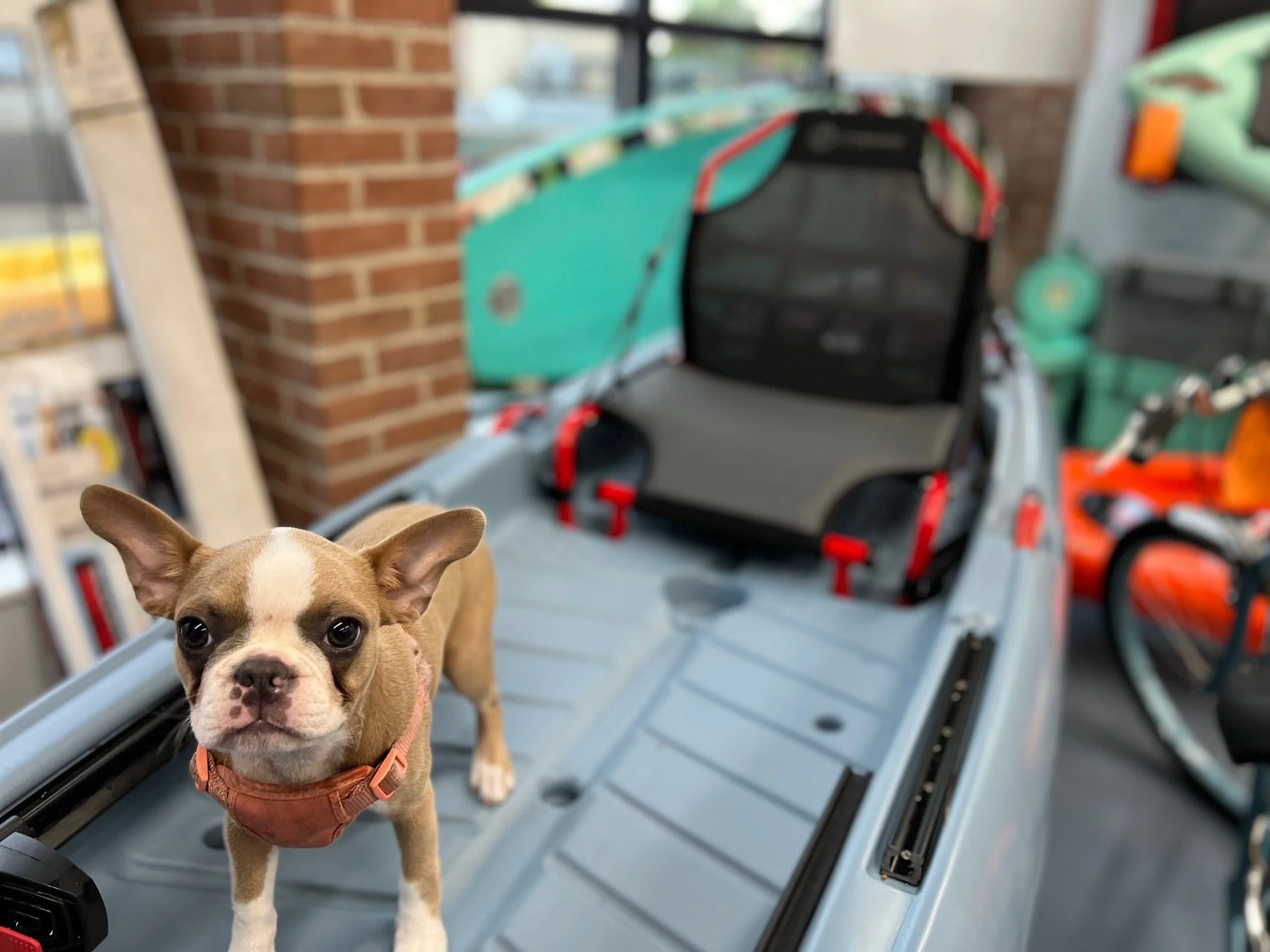 bulldog air bike 3.0