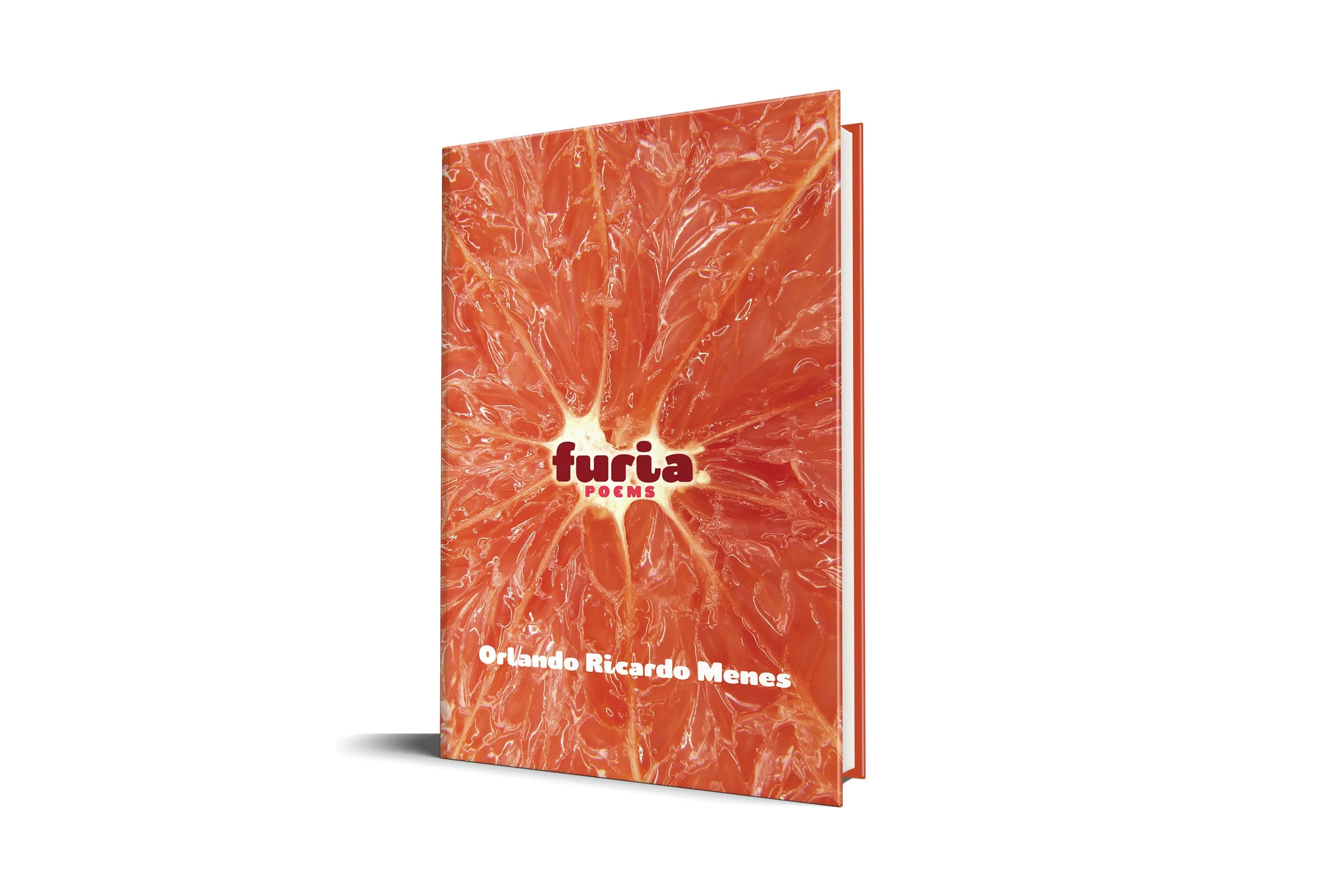 3D__POETRY-16x9-Furia.jpg