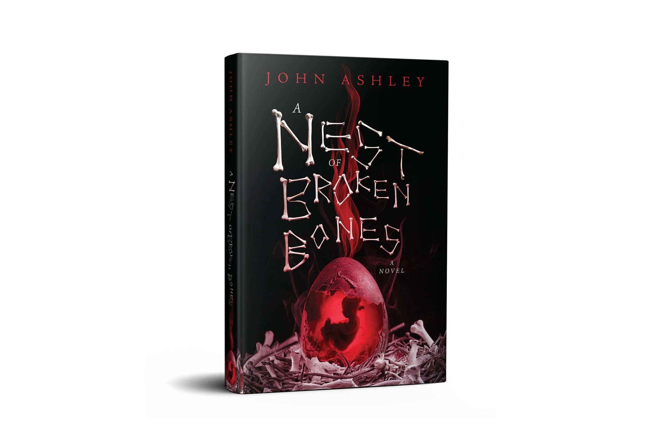 A Nest of Broken Bones |  John Ashley