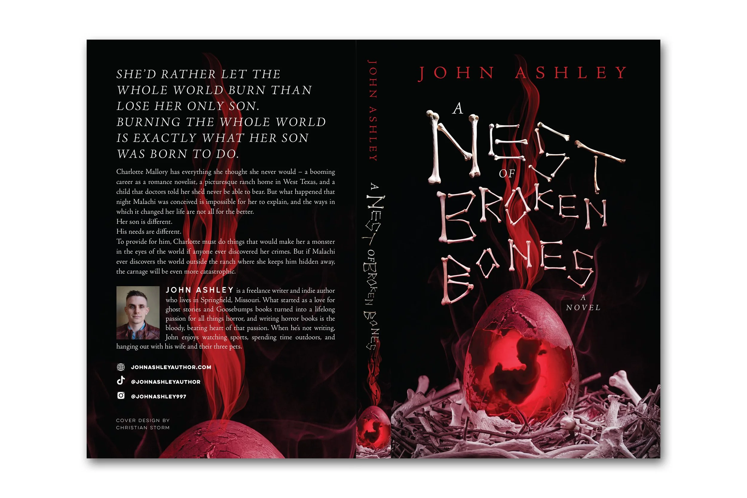 A Nest of Broken Bones  |  John Ashley