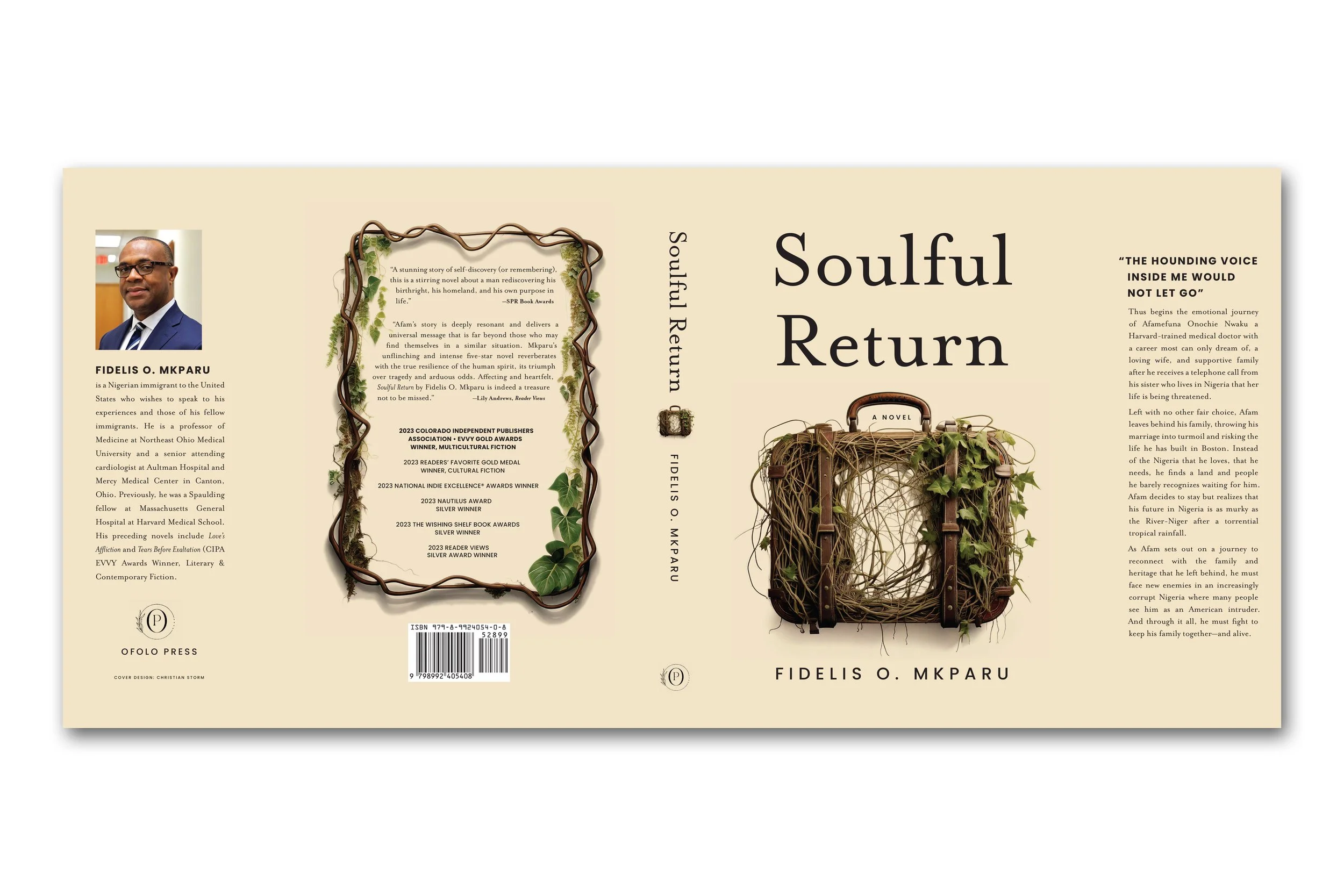 Soulful Return | Fidelis O. Mkparu