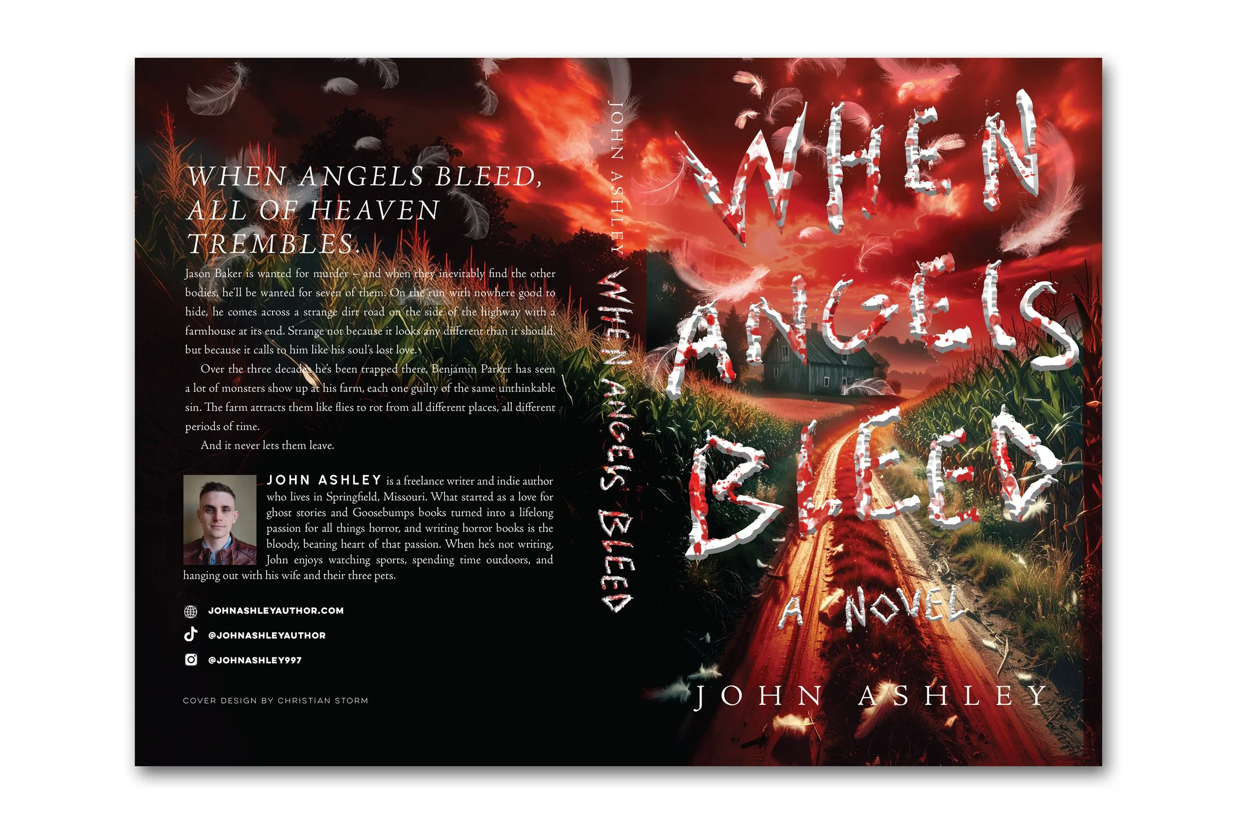 When Angels Bleed |  John Ashley