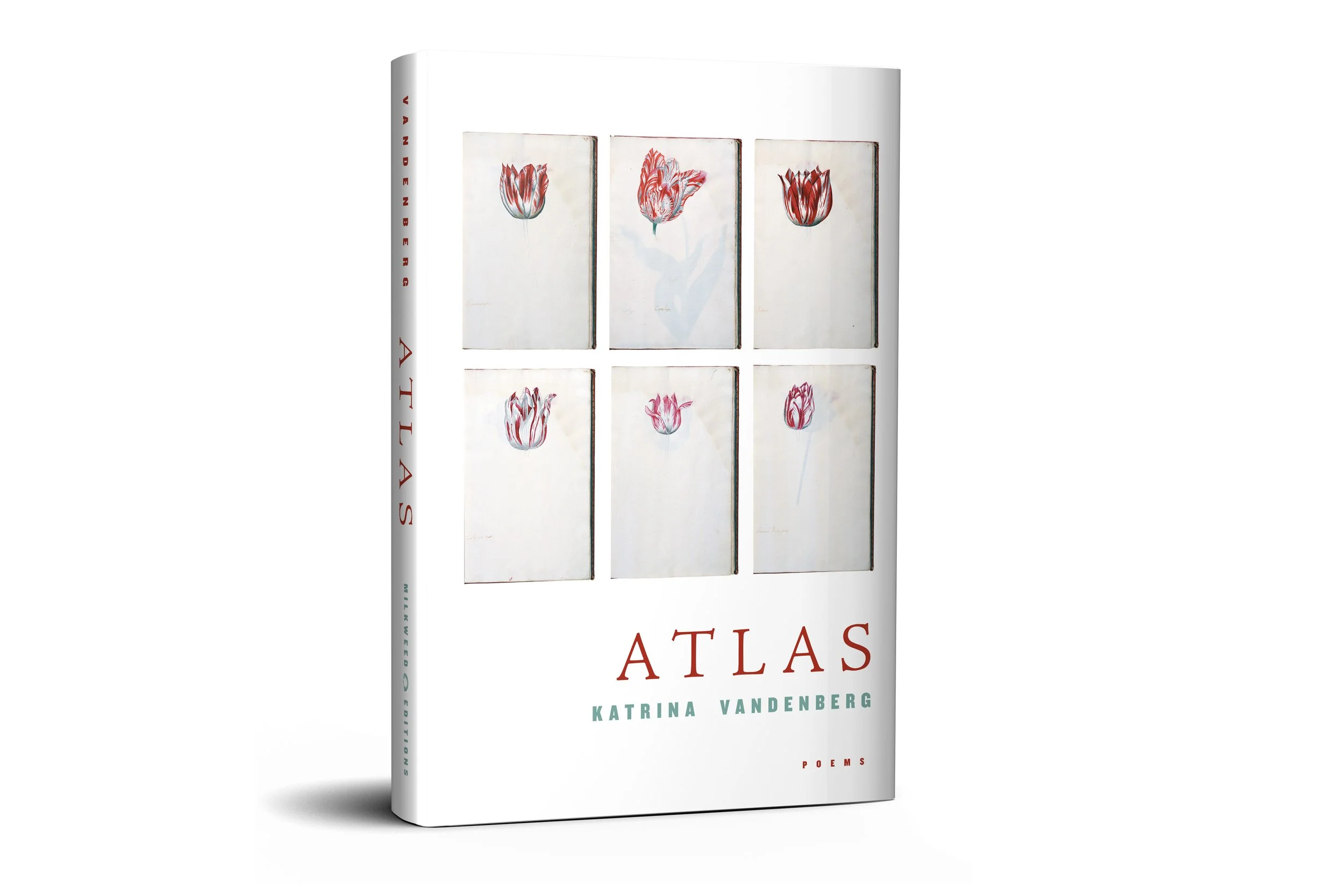 3D__POETRY-16x9-Atlas.jpg