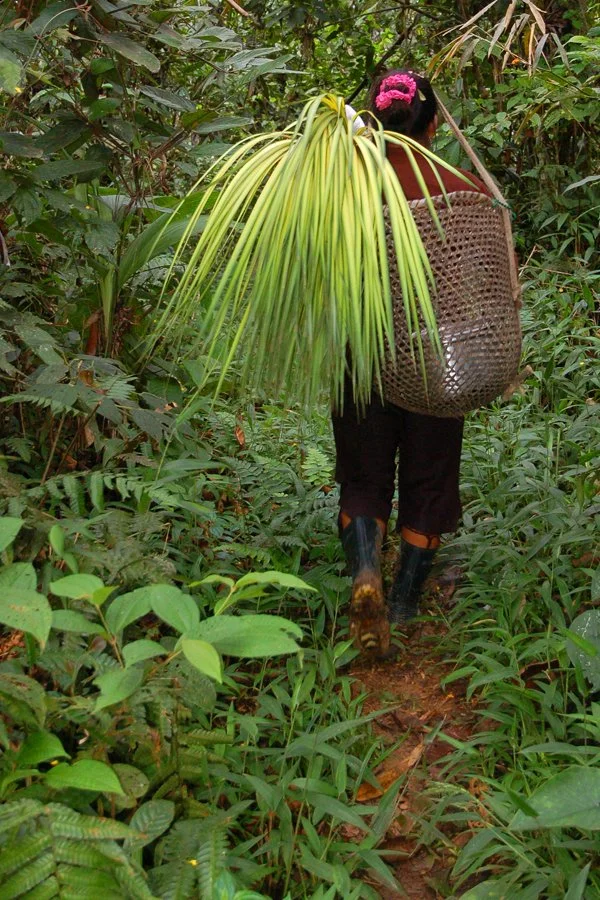 lidaberna-panduro-carrying-chambira-rear.jpeg