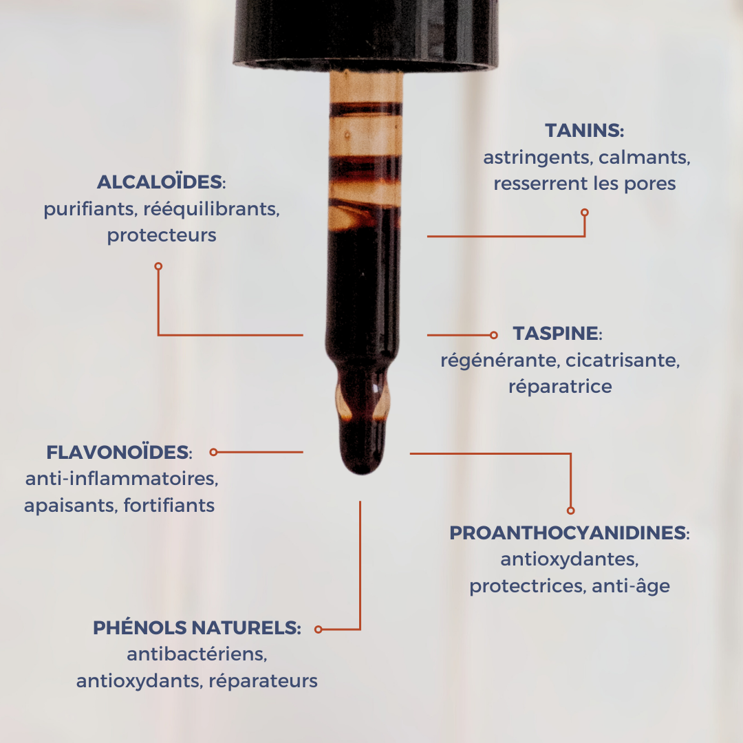 POSTS INSTA-NOV-2.png