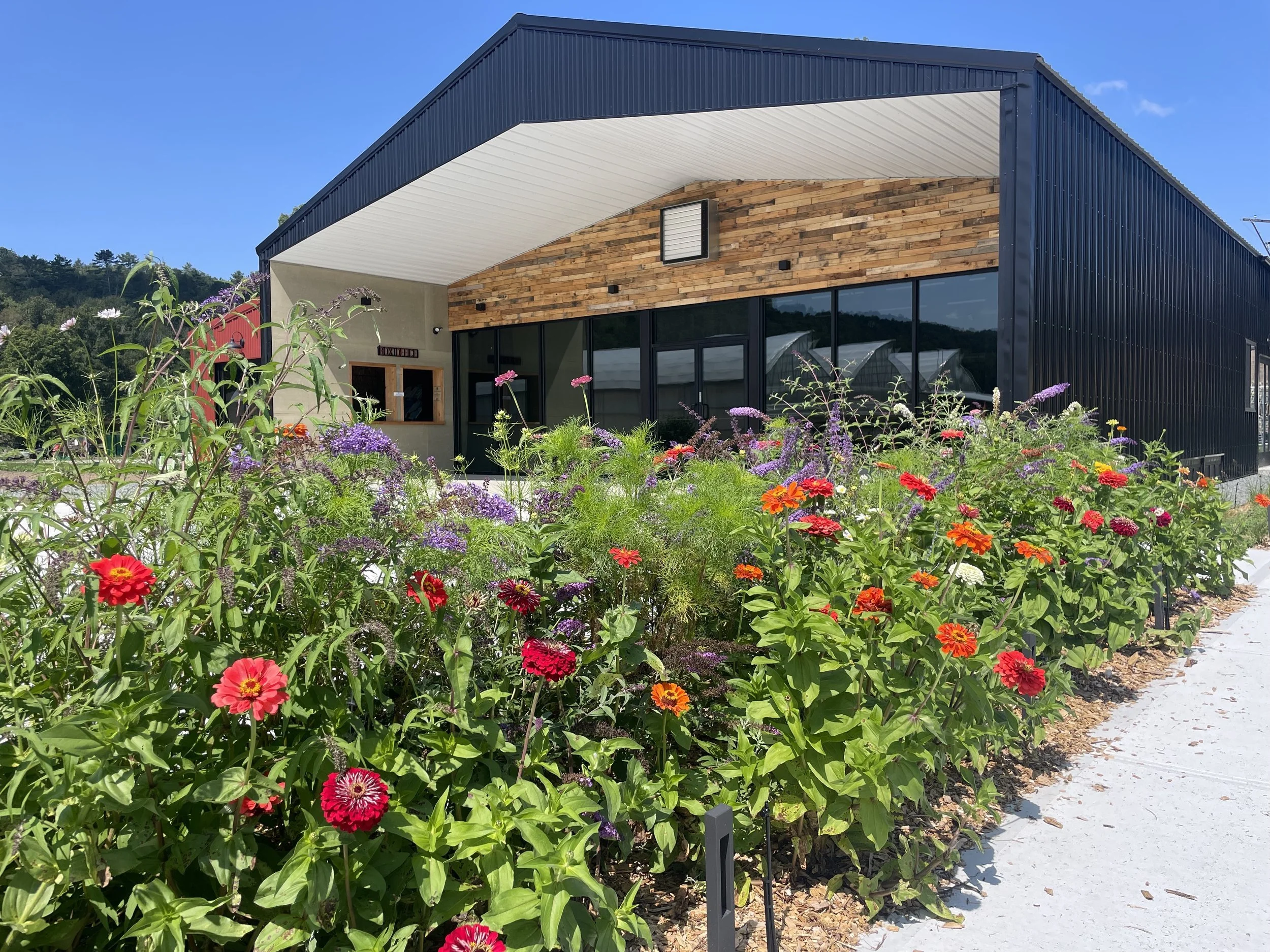 Farm Arts Collective: Where Farm, Art & Community Flourish