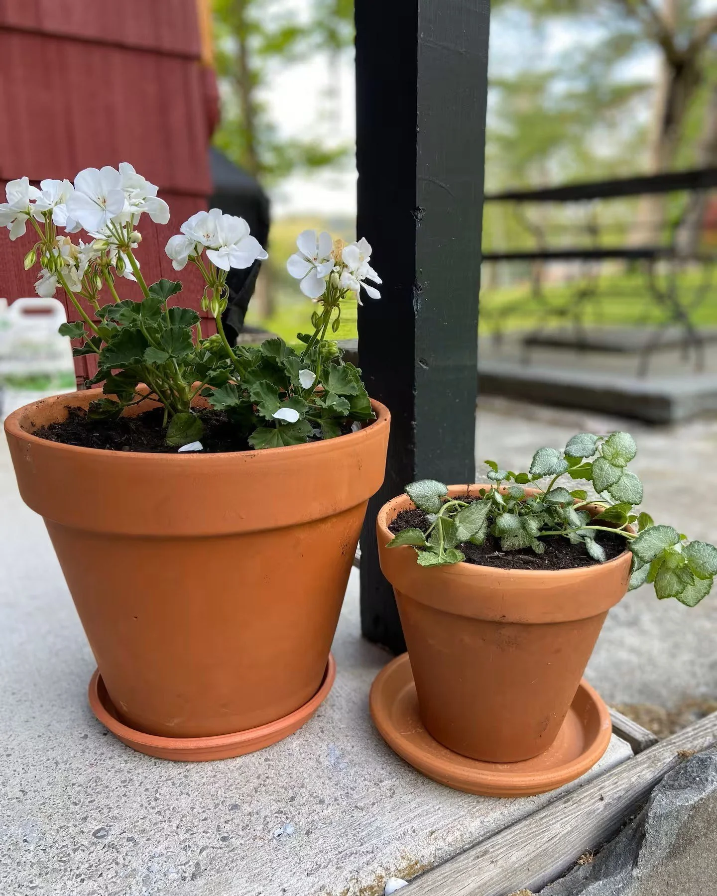 Welcome to the Casskell Stays lineup: ZEN IN NARROW ✨

We&rsquo;re so excited to welcome Zen in Narrow a beautifully restored farmhouse oasis right in the heart of Narrowsburg. Just a scenic 2-hour drive from NYC, this thoughtfully renovated home sit