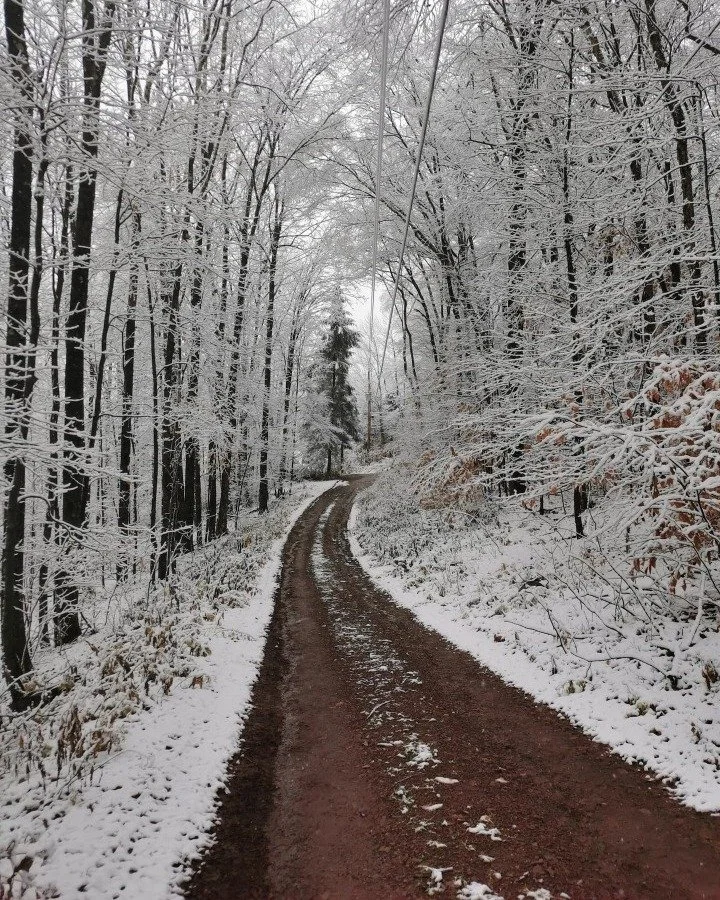 Mountain Terrace | Parksville, NY

Wake up above the treetops at Mountain Terrace our secluded, terrace-style cabin overlooking the Catskills with access to Hunter Lake. 🌄

Designed for slow mornings and cozy nights, this retreat features oversized 