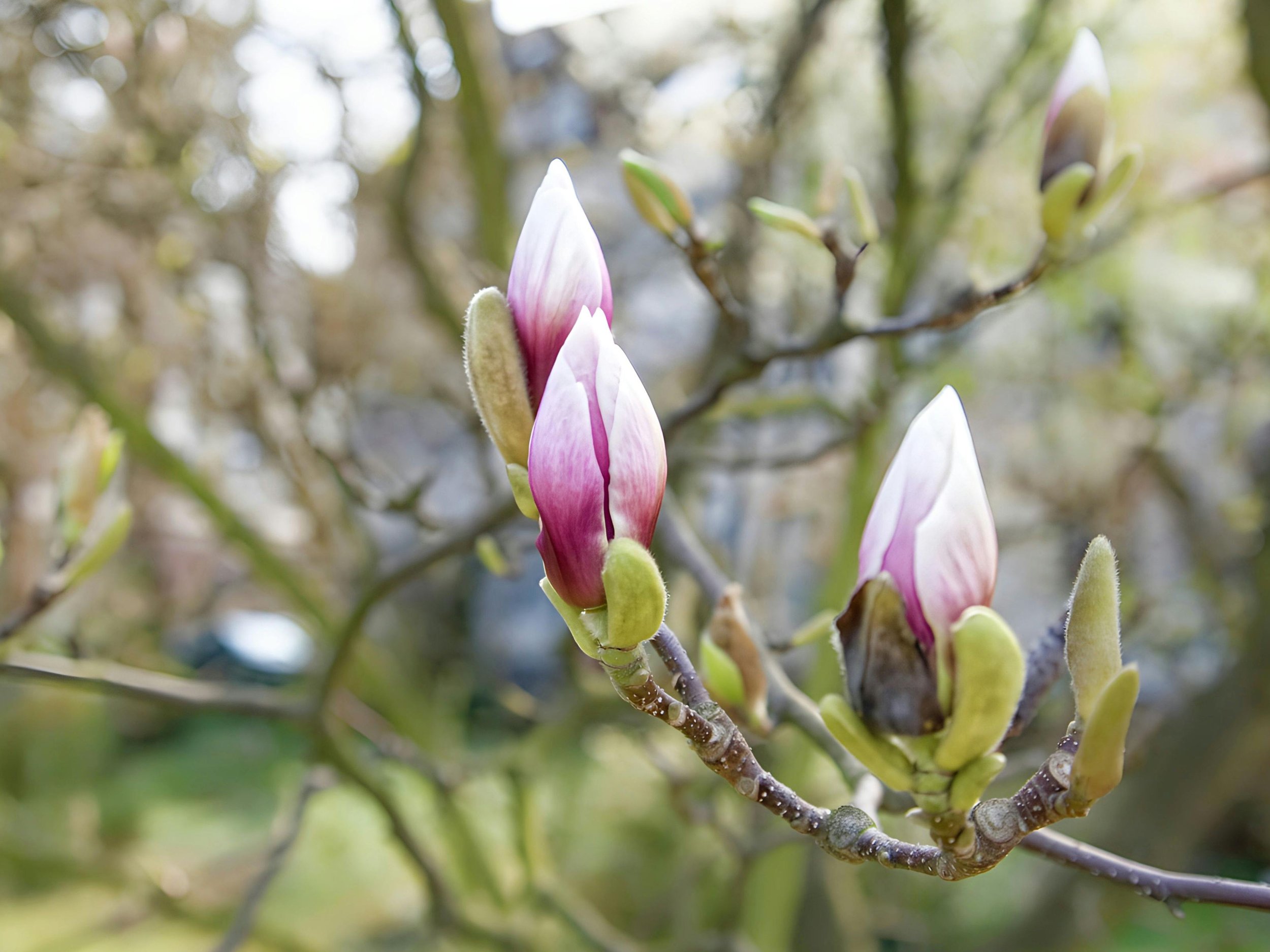 🌷 April Events in Sullivan County: Spring in the Catskills