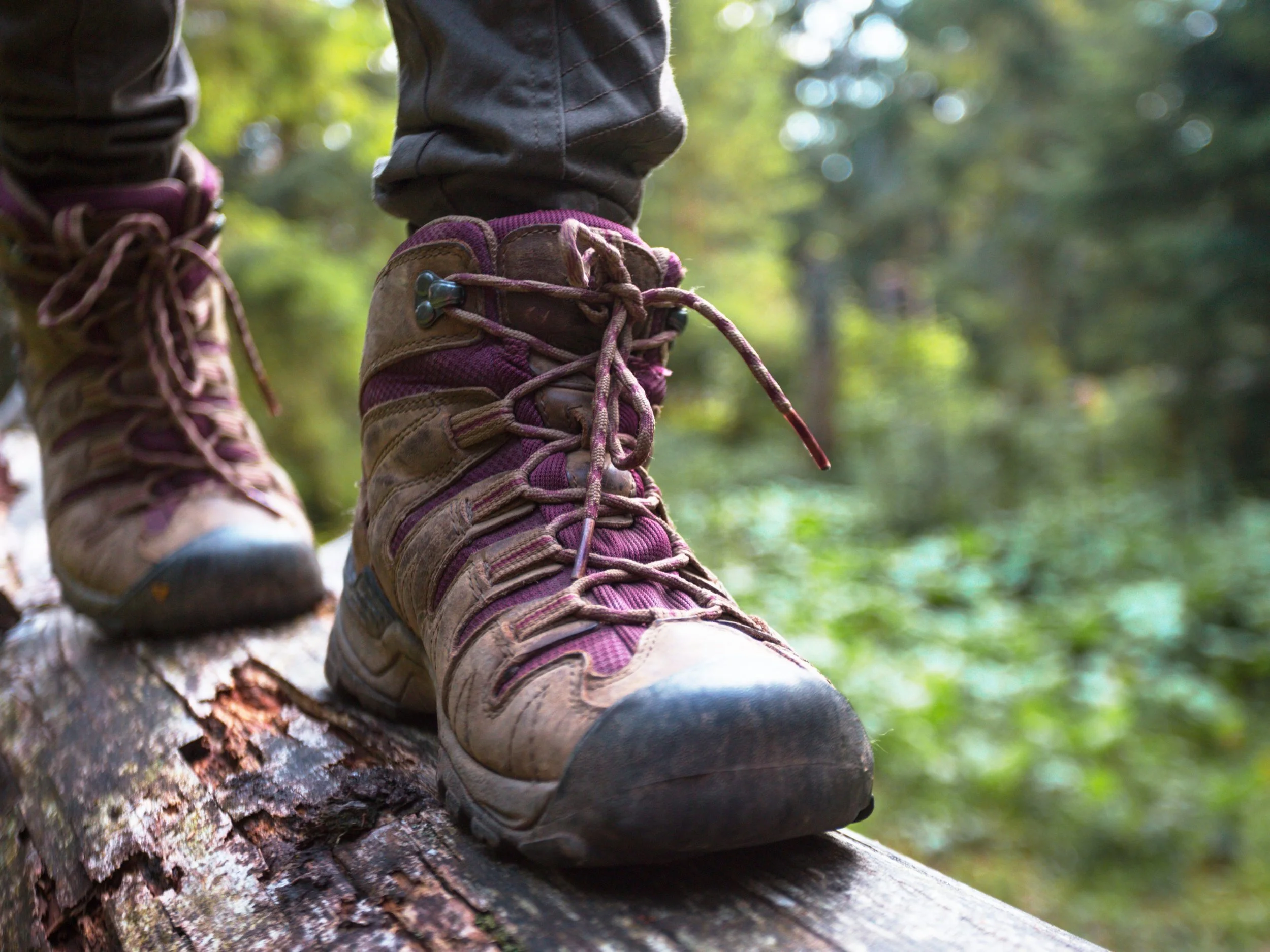 🌿 Best Easy Spring Hikes in the Catskills 