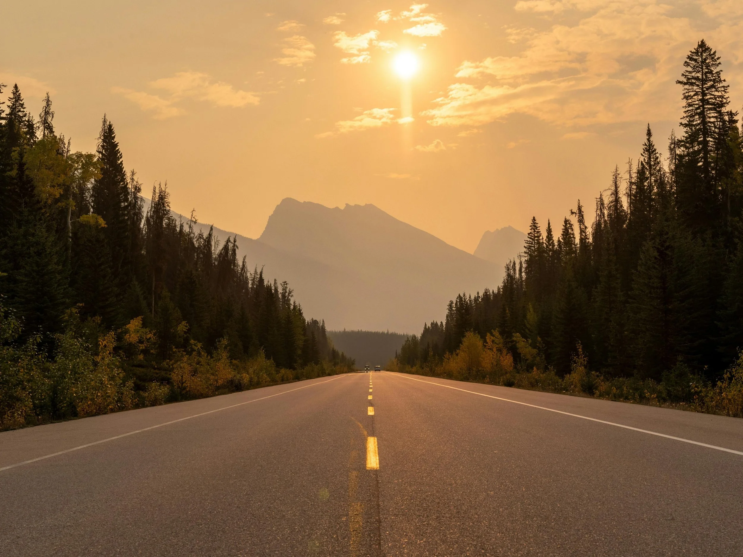 🌸 Scenic Spring Drives in the Catskills: Routes Worth Taking This April