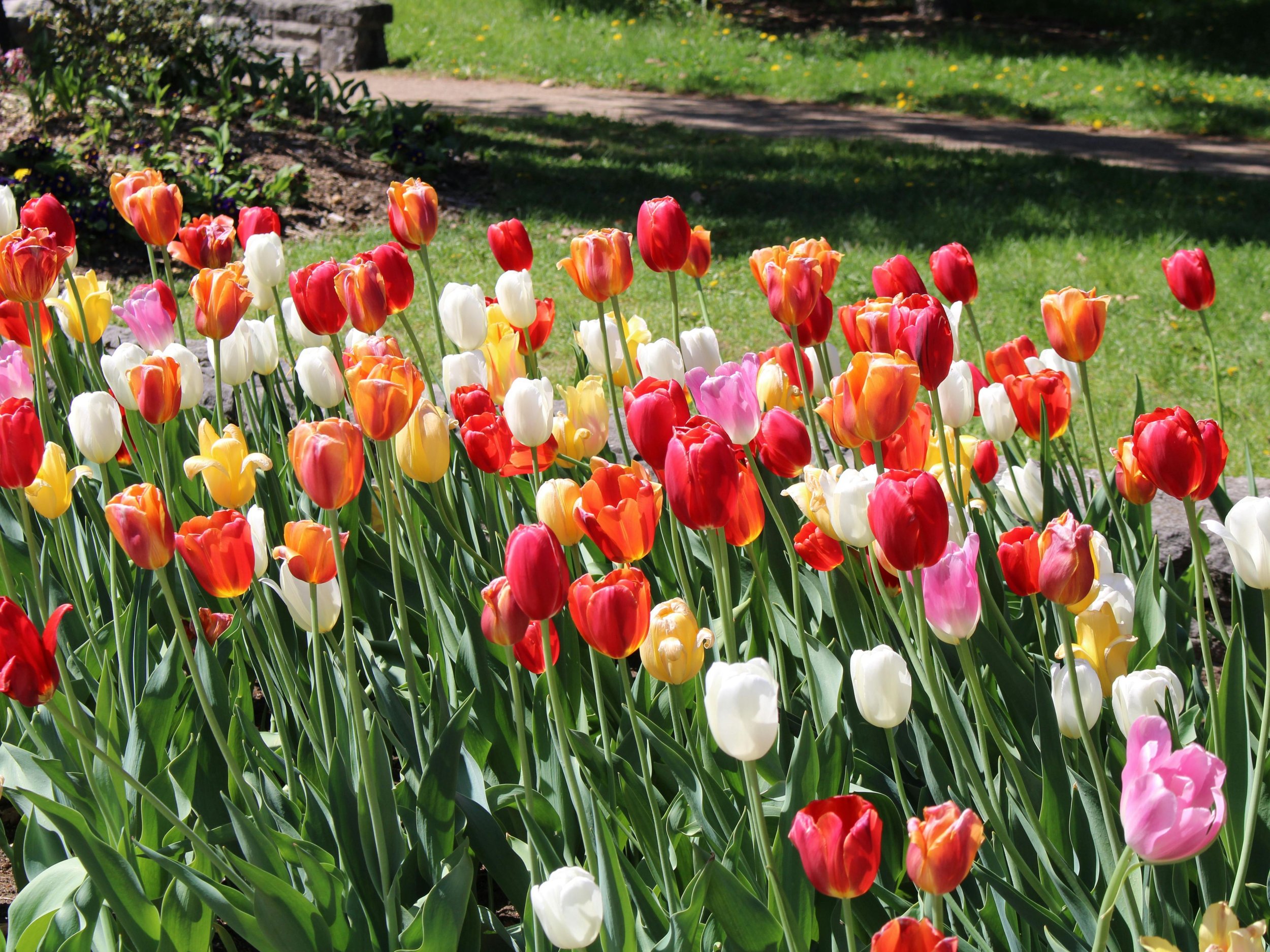 🌿 May in the Sullivan Catskills: Events Worth Planning Your Getaway Around