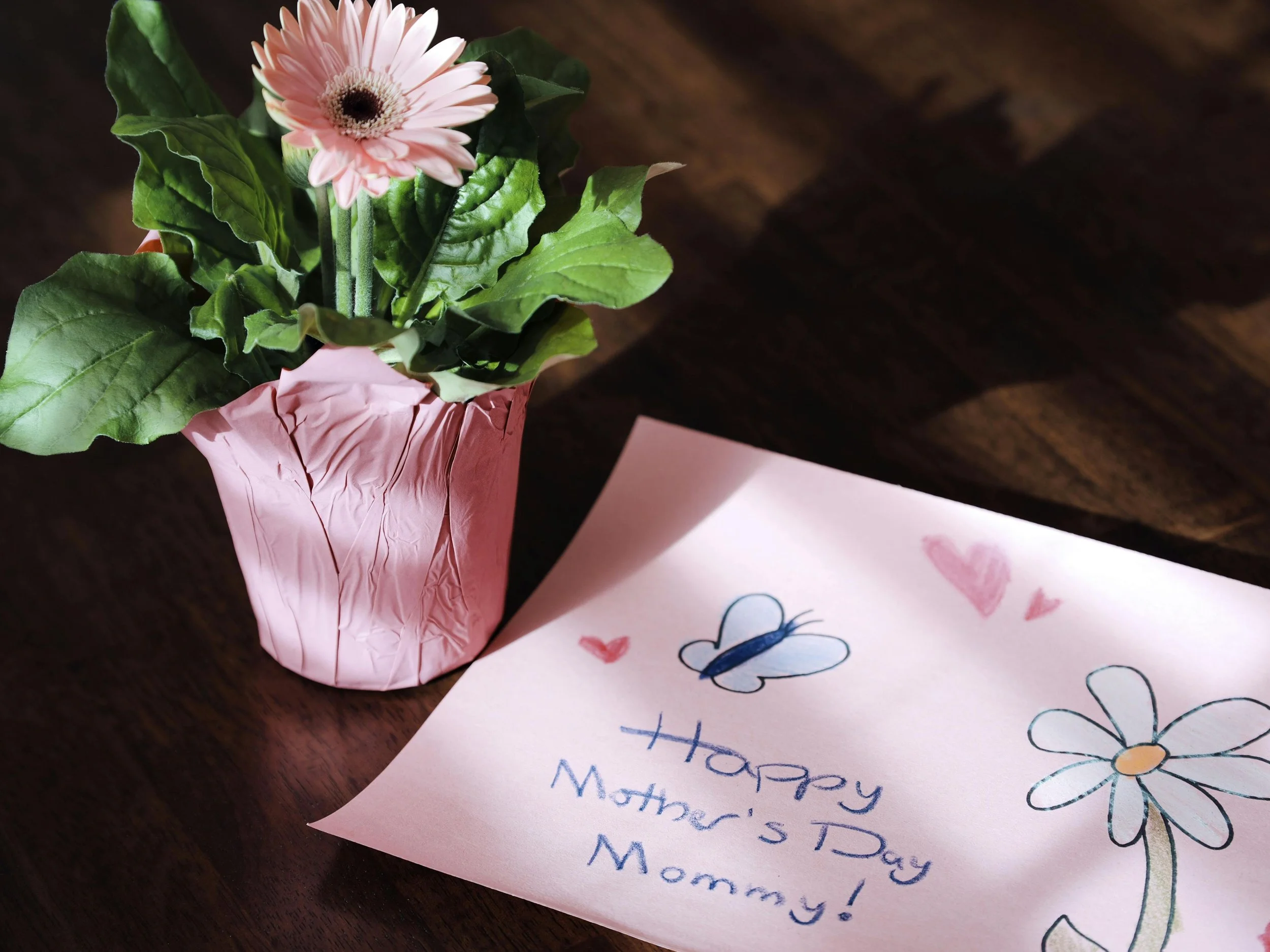 Mother’s Day in Sullivan County: A Whimsical Guide to Celebrating Mom 🌸