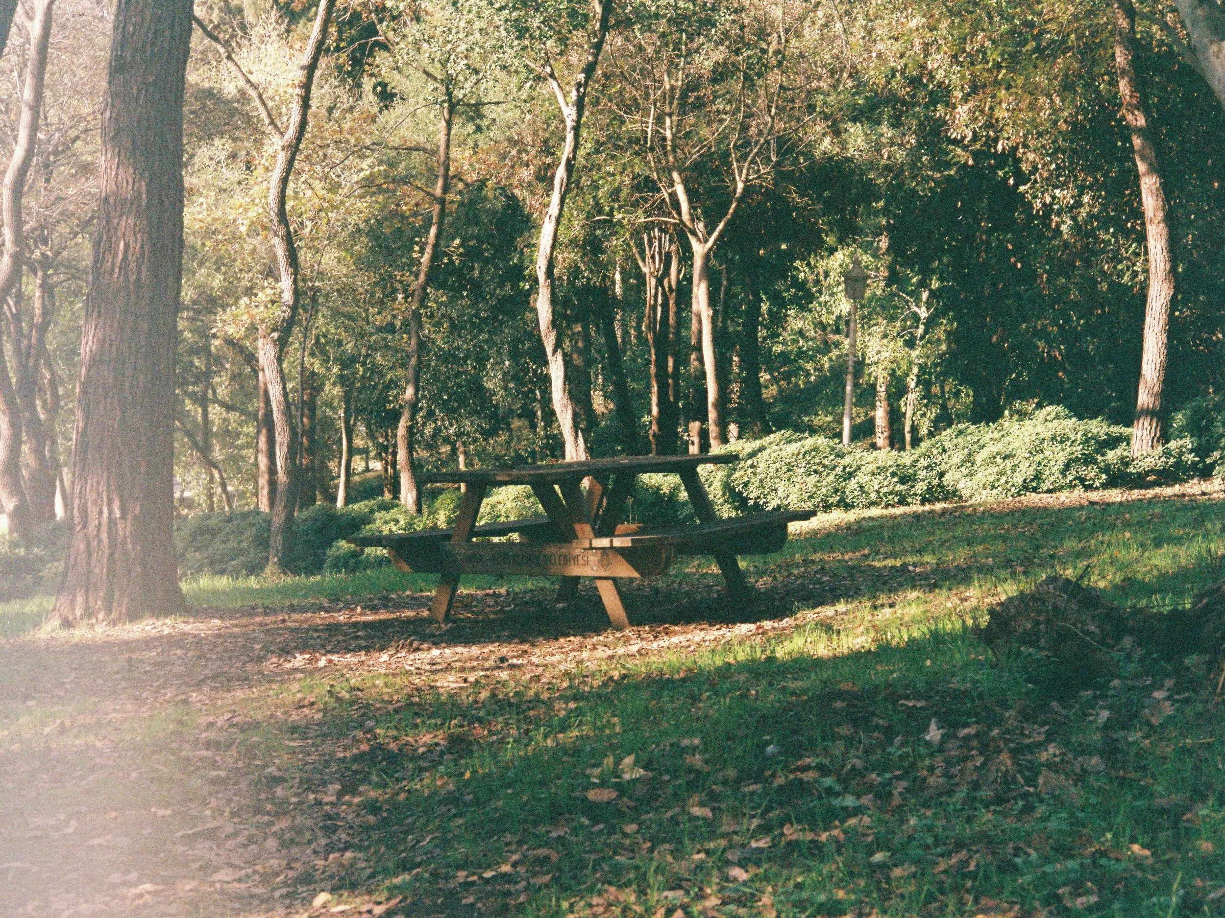 Best Picnic Spots in the Catskills