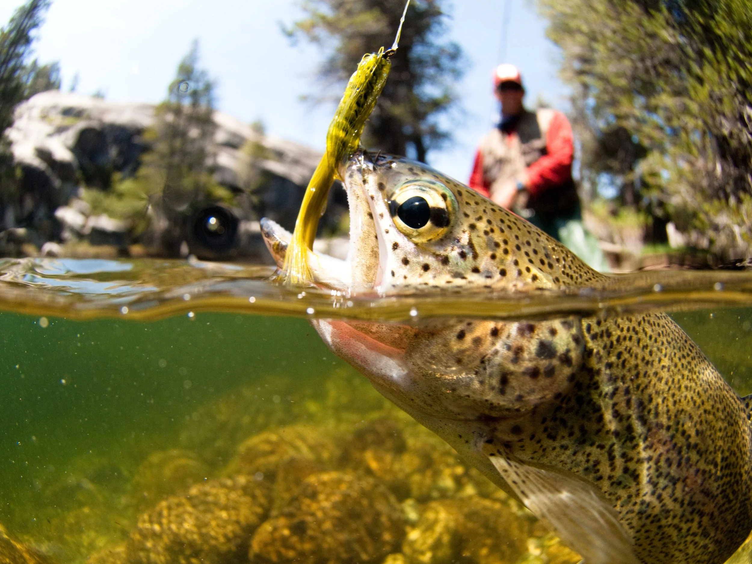Father's Day Weekend in the Catskills: Things Dad Will Actually Want to Do