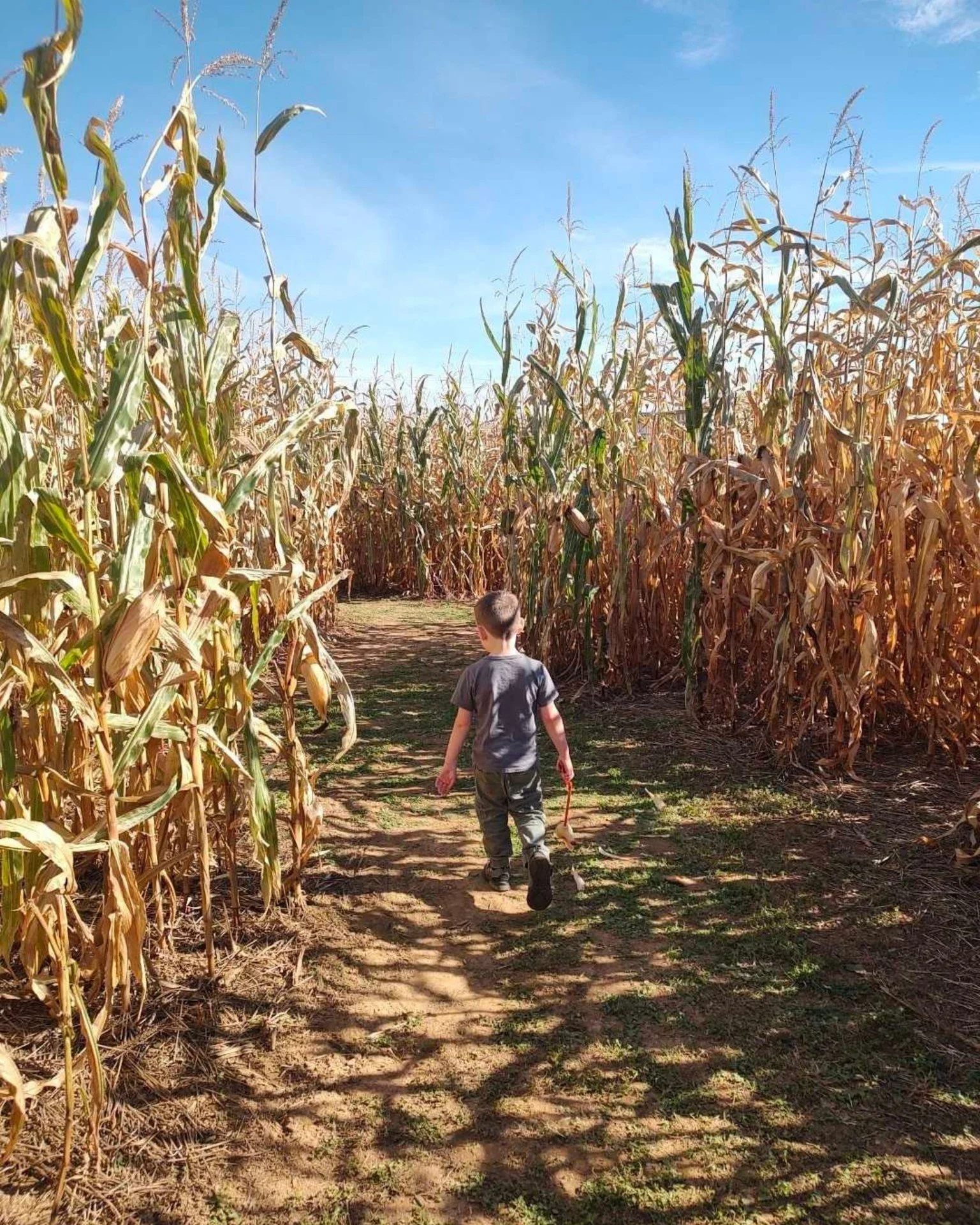 POV: You survived the Children of the Corn and earned yourself a weekend in the Catskills. 🌽🍂

If you&rsquo;ve been waiting for the perfect time to visit, this is your sign possibly a warning sign, but a sign nonetheless.

Fall weekends fill up fas
