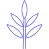 Minimalist line drawing of a plant with leaves