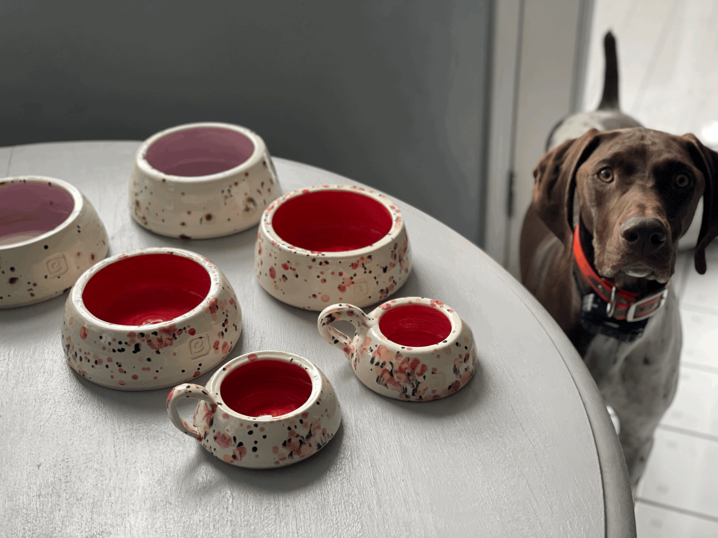 Custom Dog Bowls