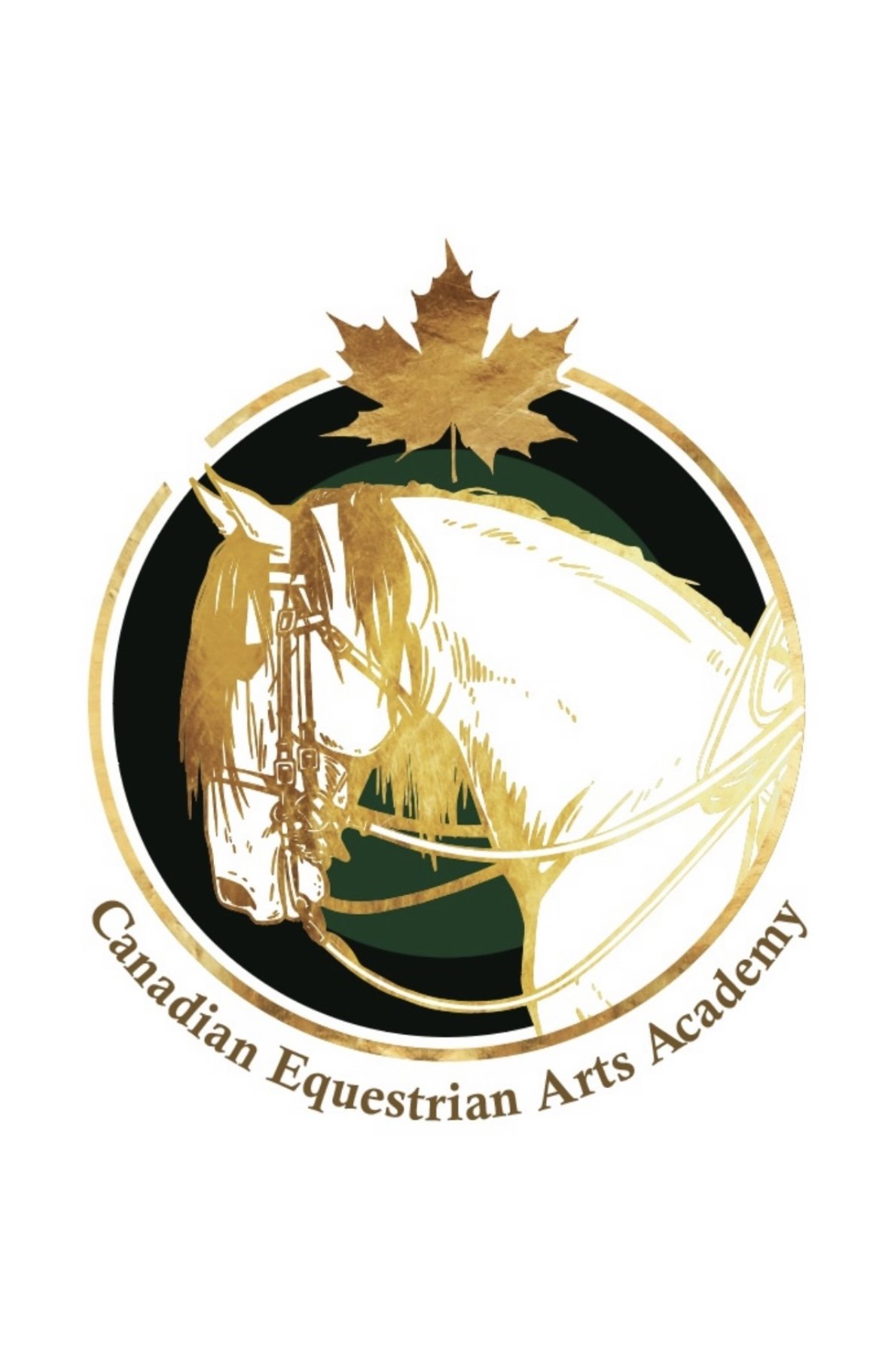 Canadian Equestrian Arts Academy