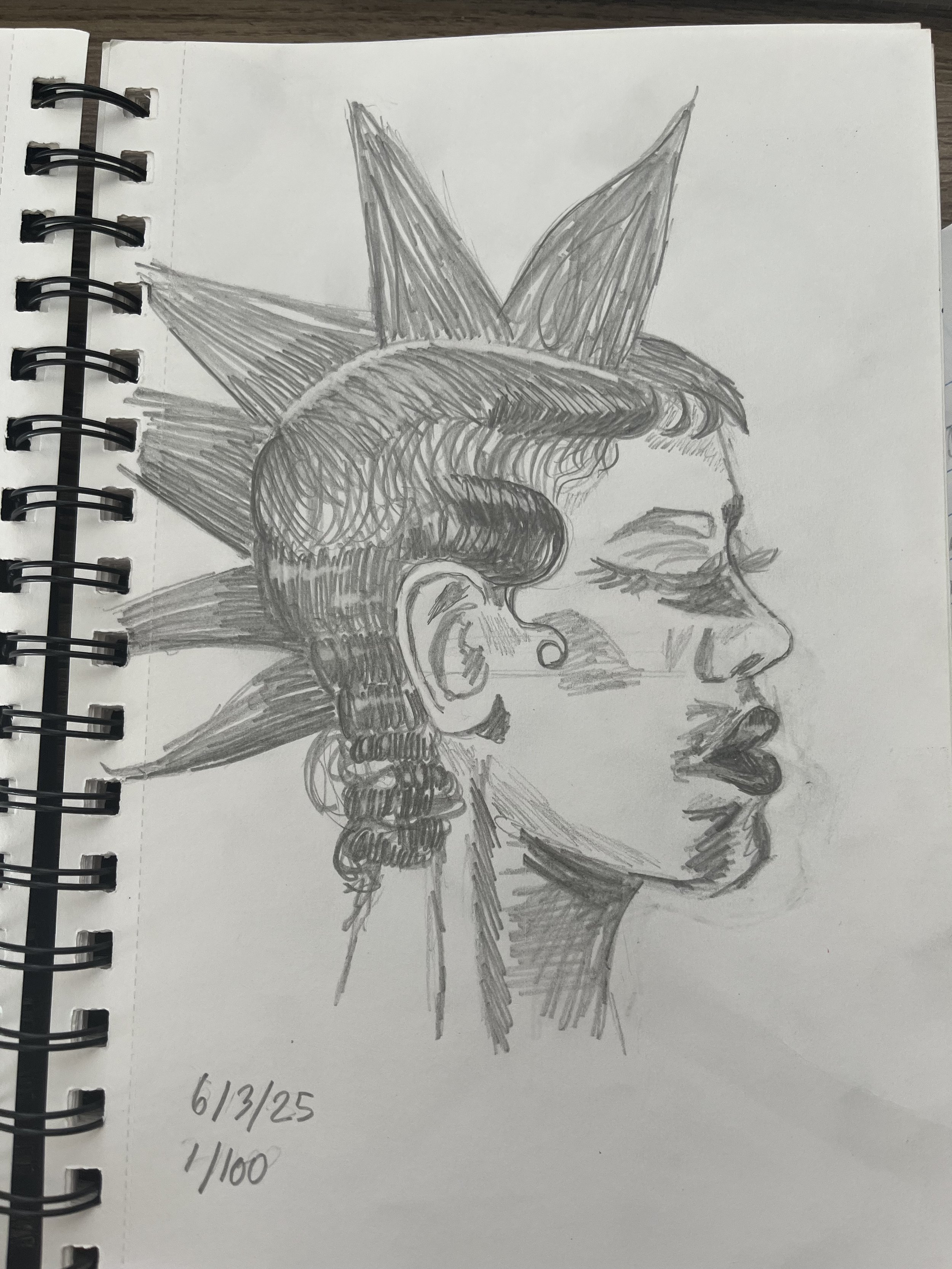 Day 1/100