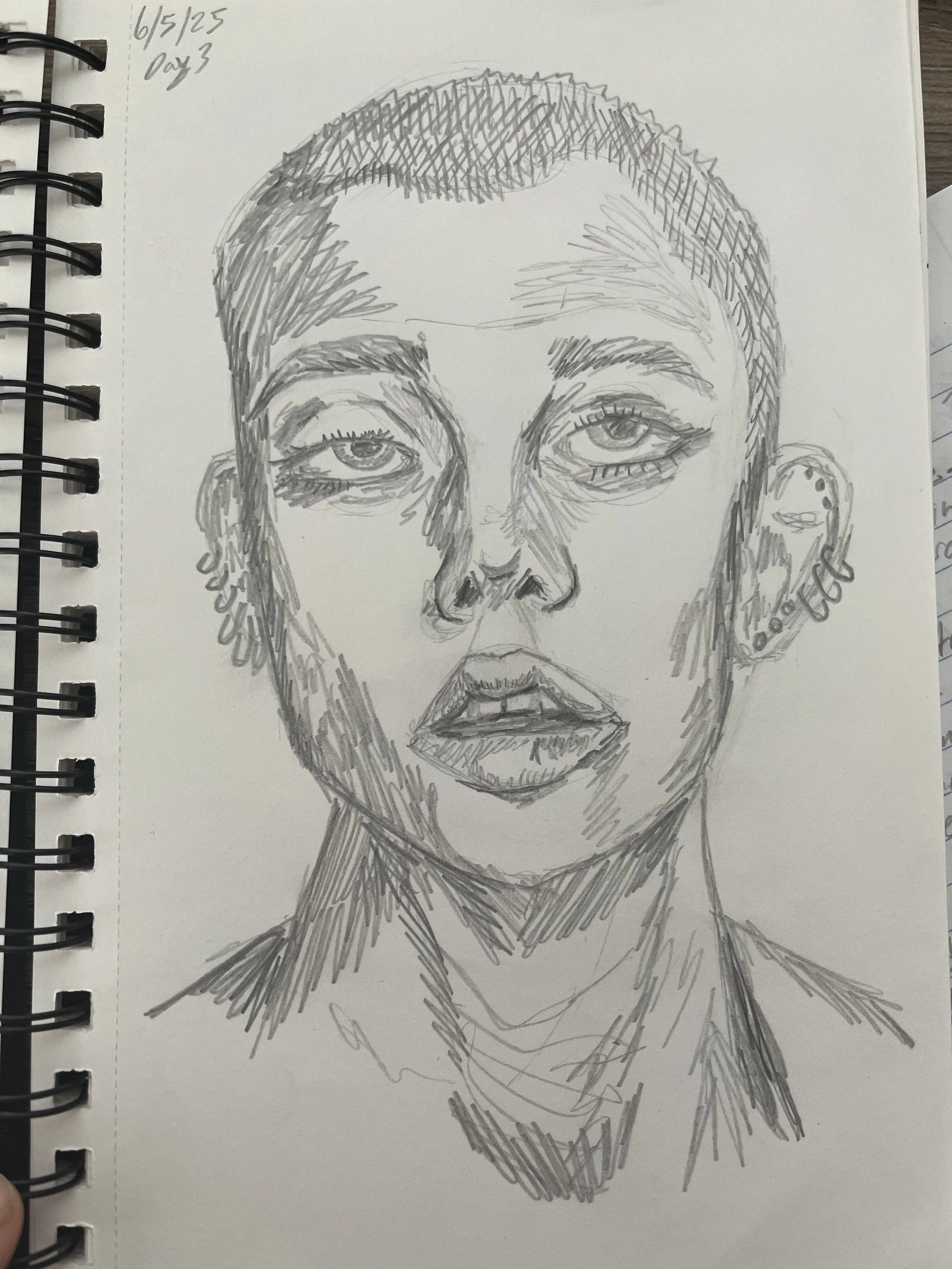 Day 3/100