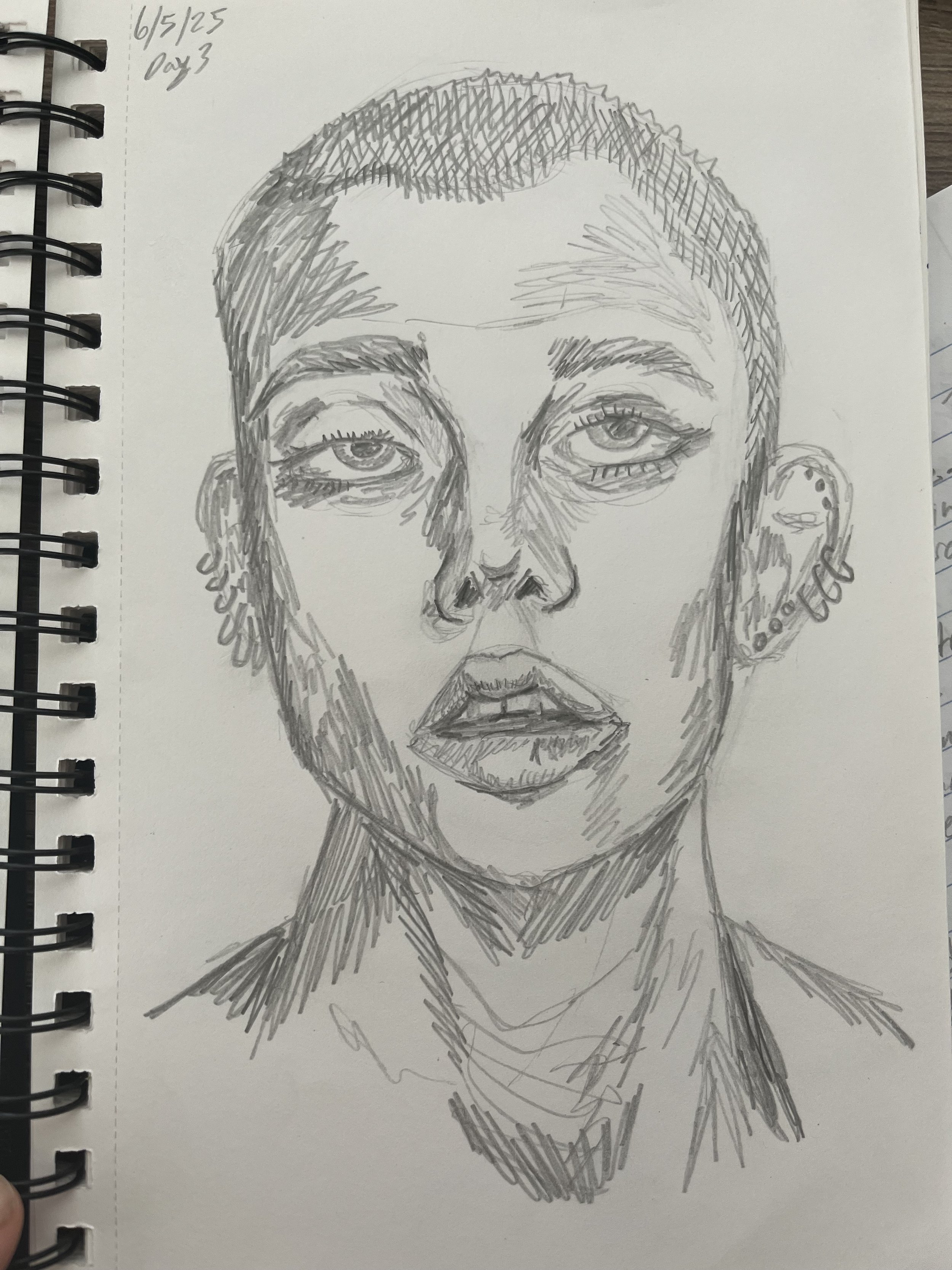 Day 3/100