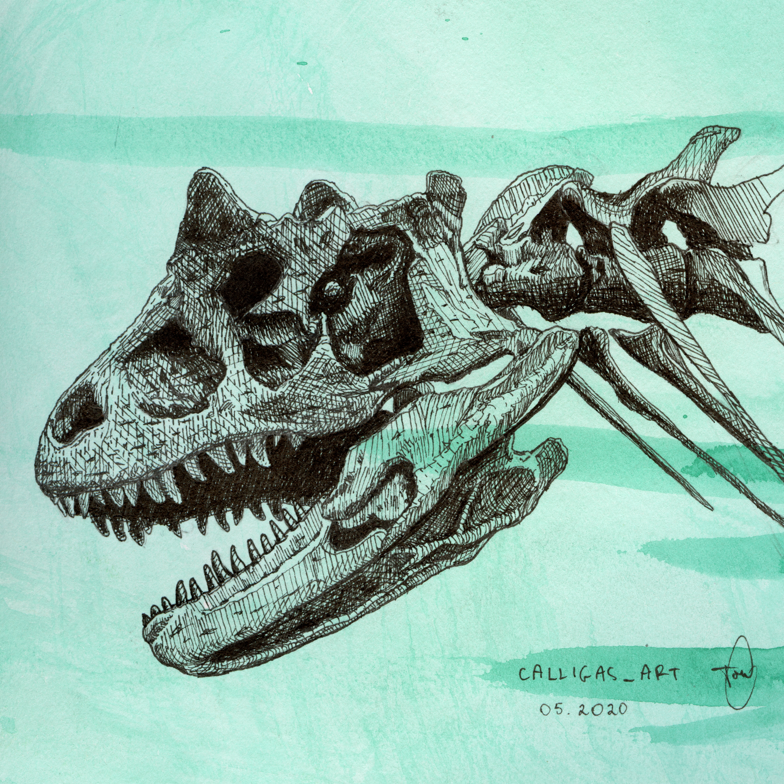 skull of carnotaurus, pen and watercolor, 2020