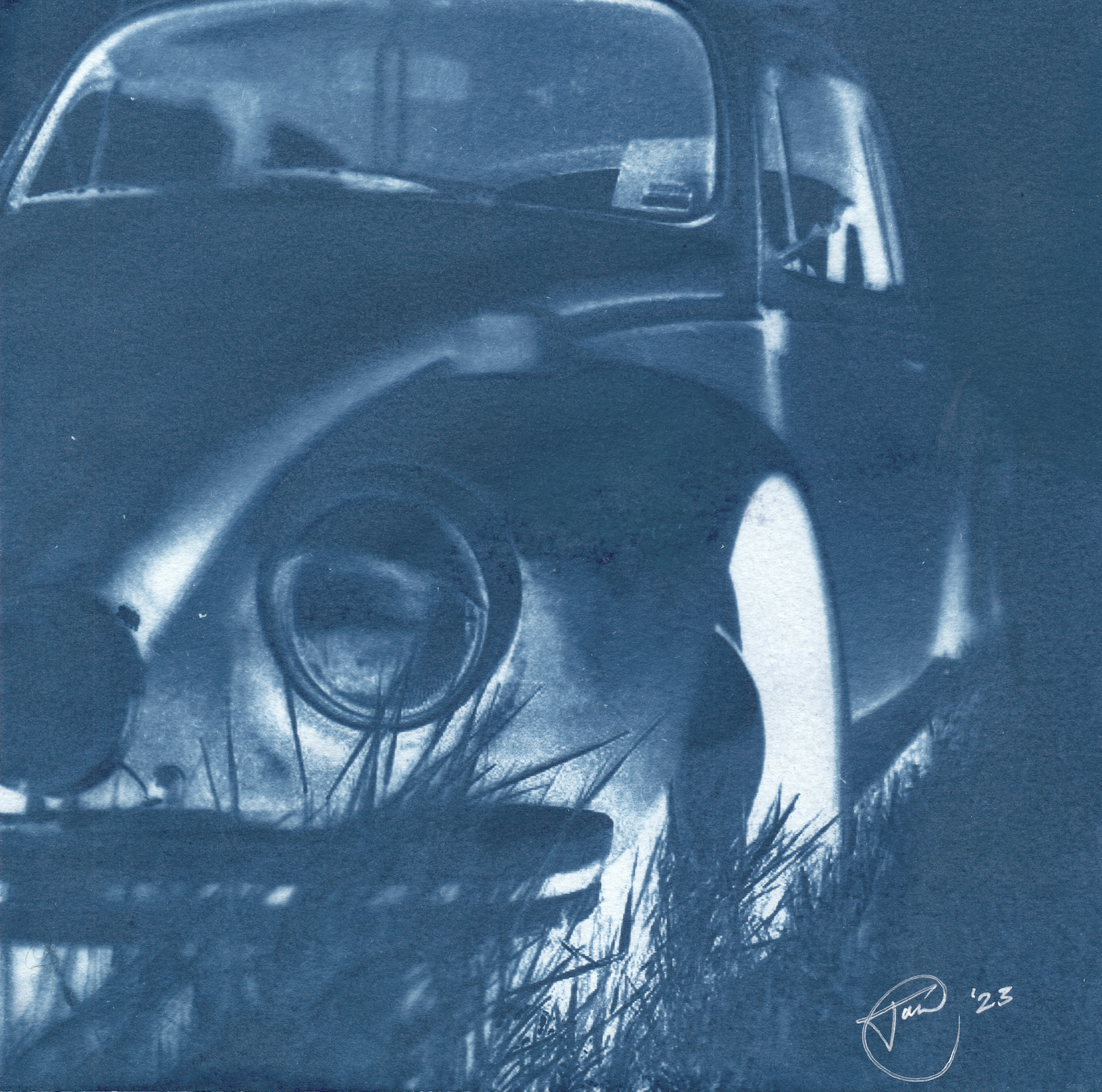 bug 1, cyanotype, 2023