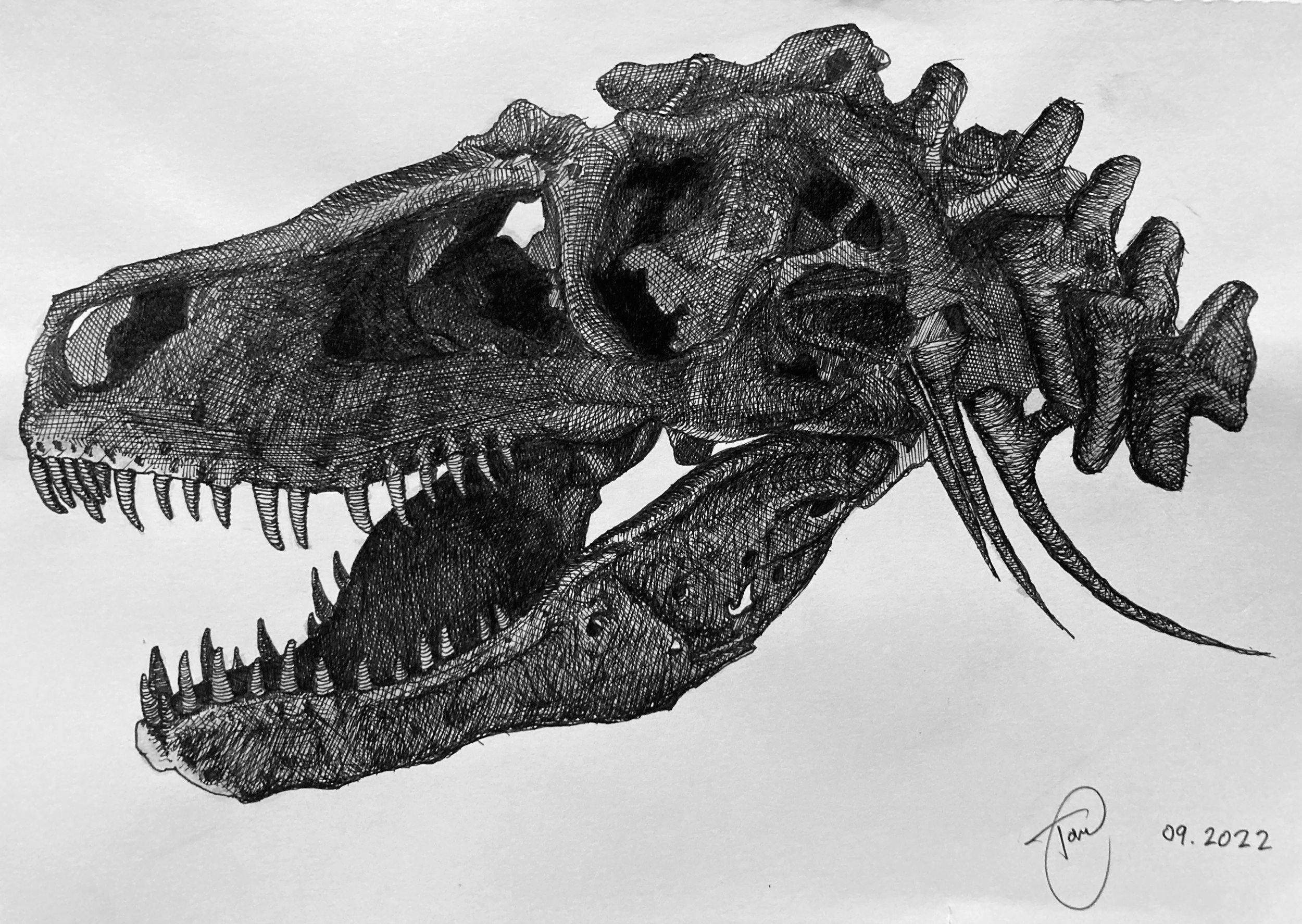 skull of tyrannosaurus rex, pen, 2022