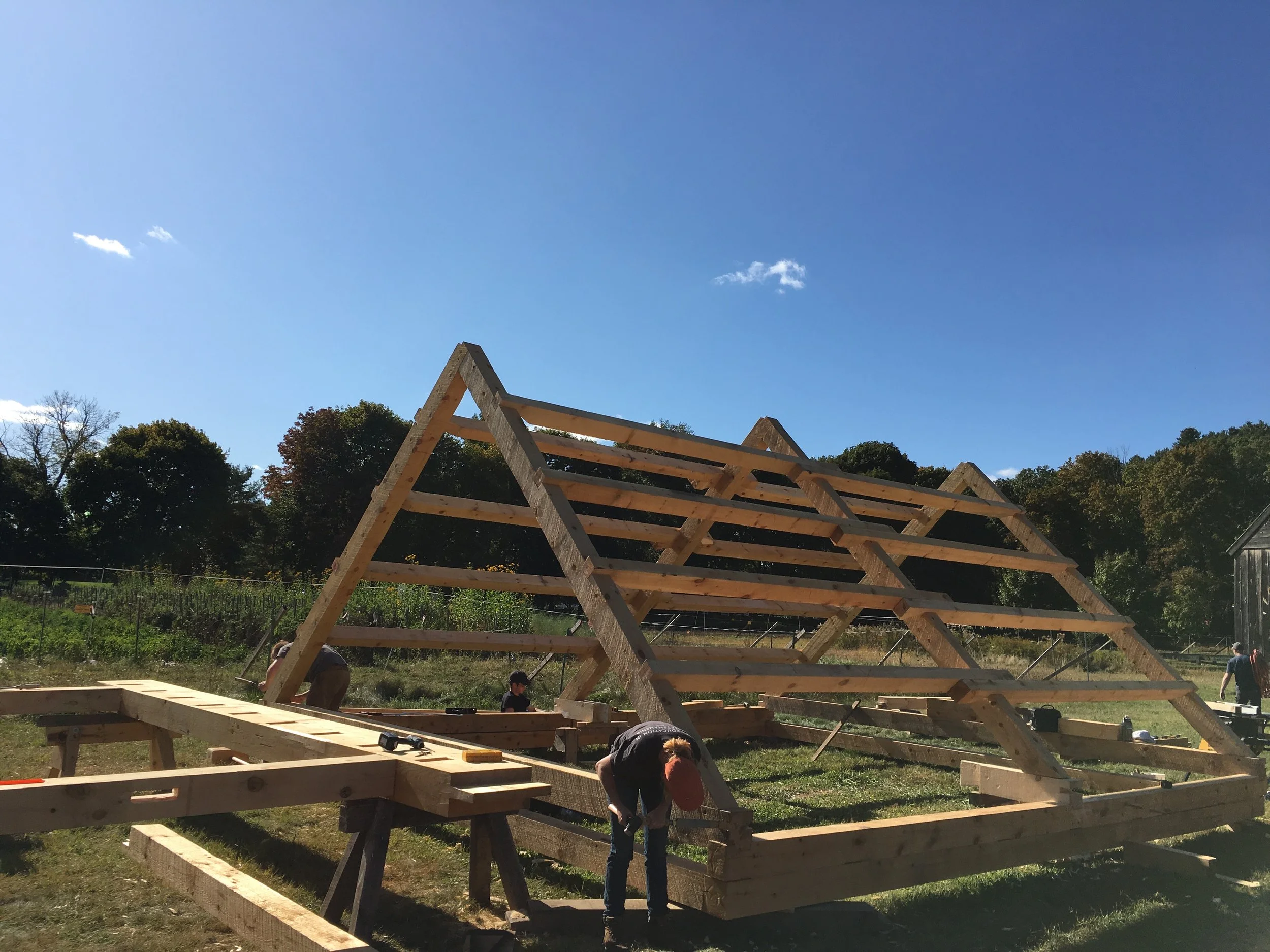Principle rafter roof system w/ purlins 