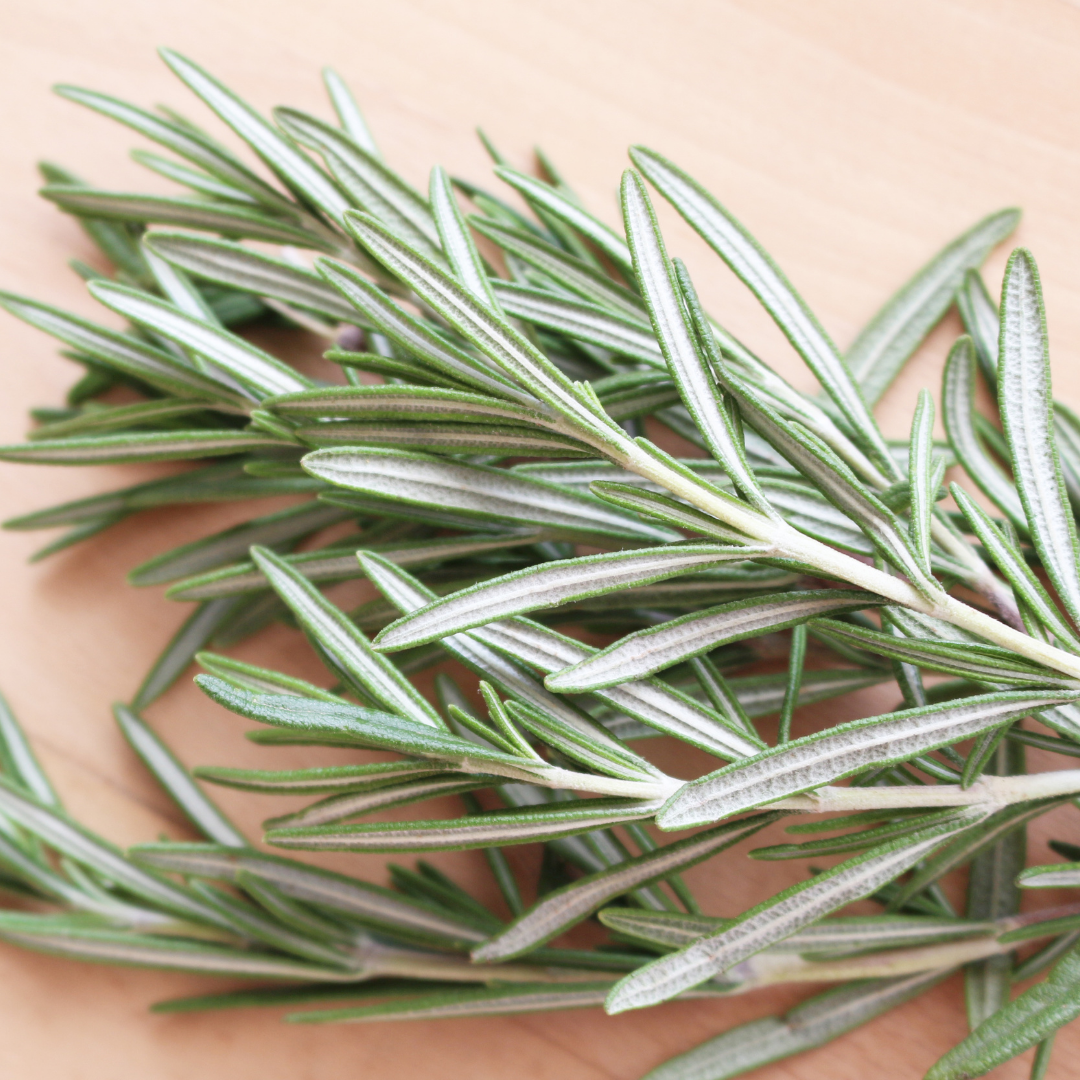 Fresh rosemary sprigs on a wooden surface