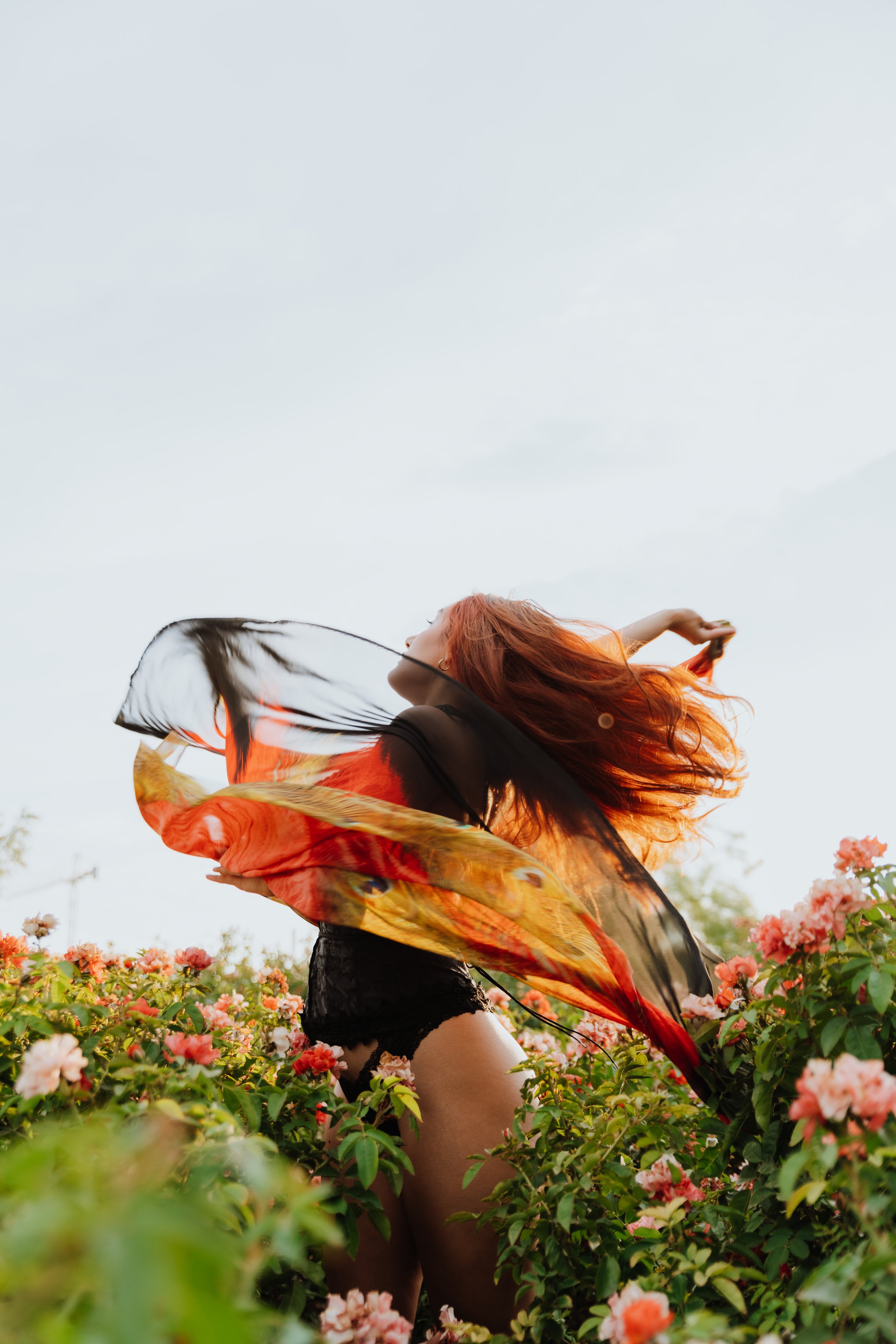 Woman with flowing scarf standing in a garden of pink roses, looking upwards.
