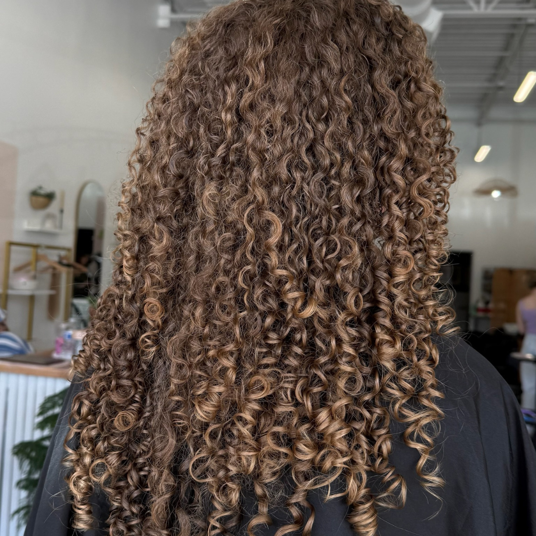 Coily Curls Back