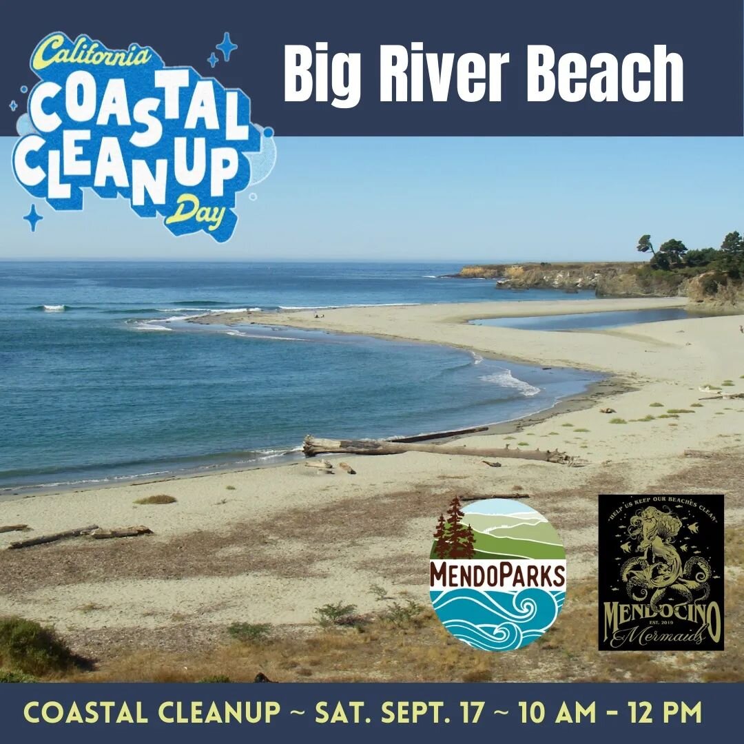 Tomorrow! Join MendoParks and the Mendocino Mermaids for California Coastal Clean Up 2022!
Saturday 9/17/22

10am-noon

Meet is at the riverside of Big River Beach, Mendocino Headlands State Park. Feel free to bring your own litter-getters and bucket