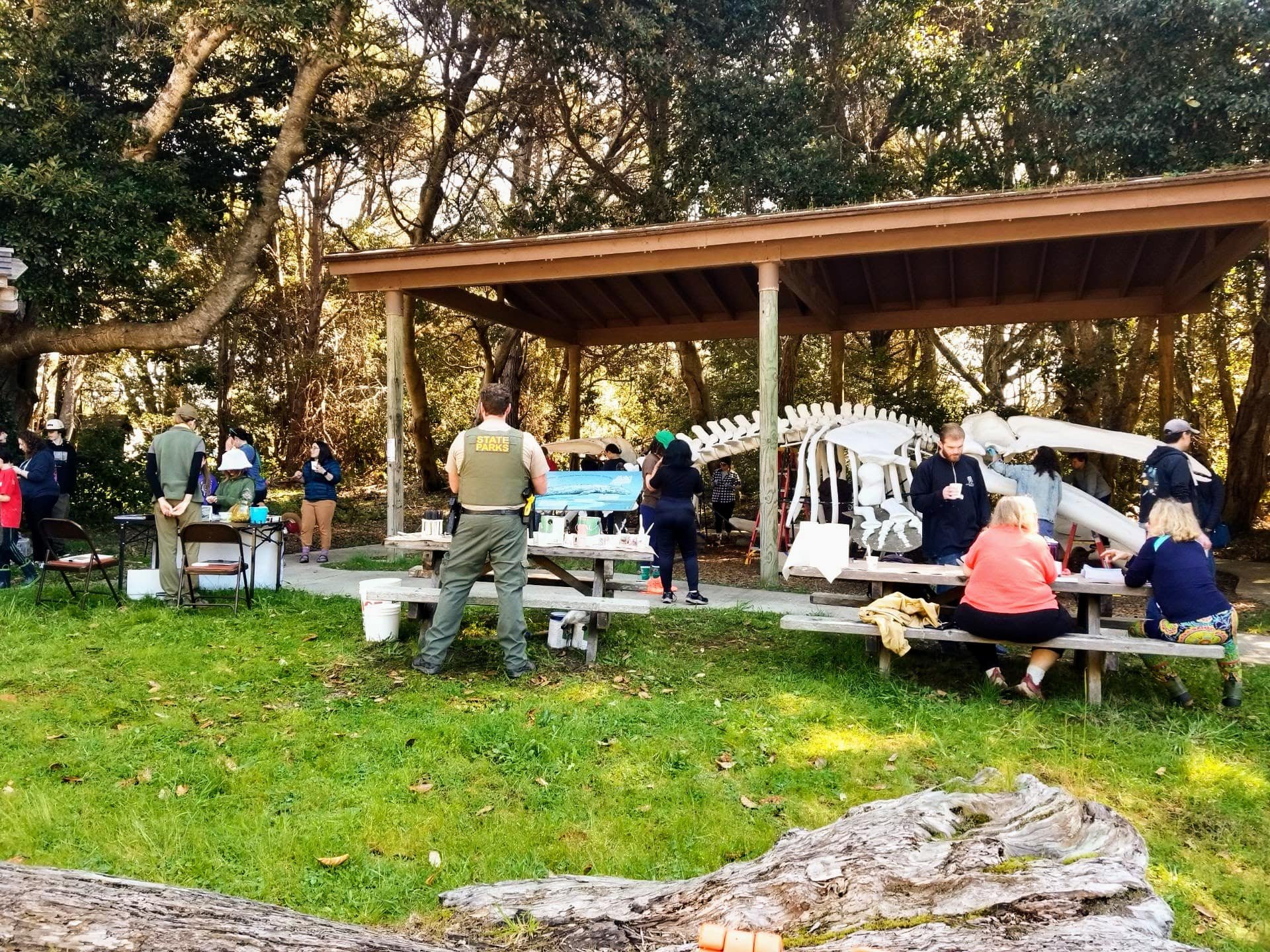 Join us for our fun (and free!) State Parks Whale Festival Events this weekend at MacKerricher! #castateparks #mendocinocoast 

Saturday, March 15:
Whale Tale Trail 10 am - 1 pm + Campfire Program 6 pm - 7 pm

Sunday, March 16: Paint the Whale Skelet