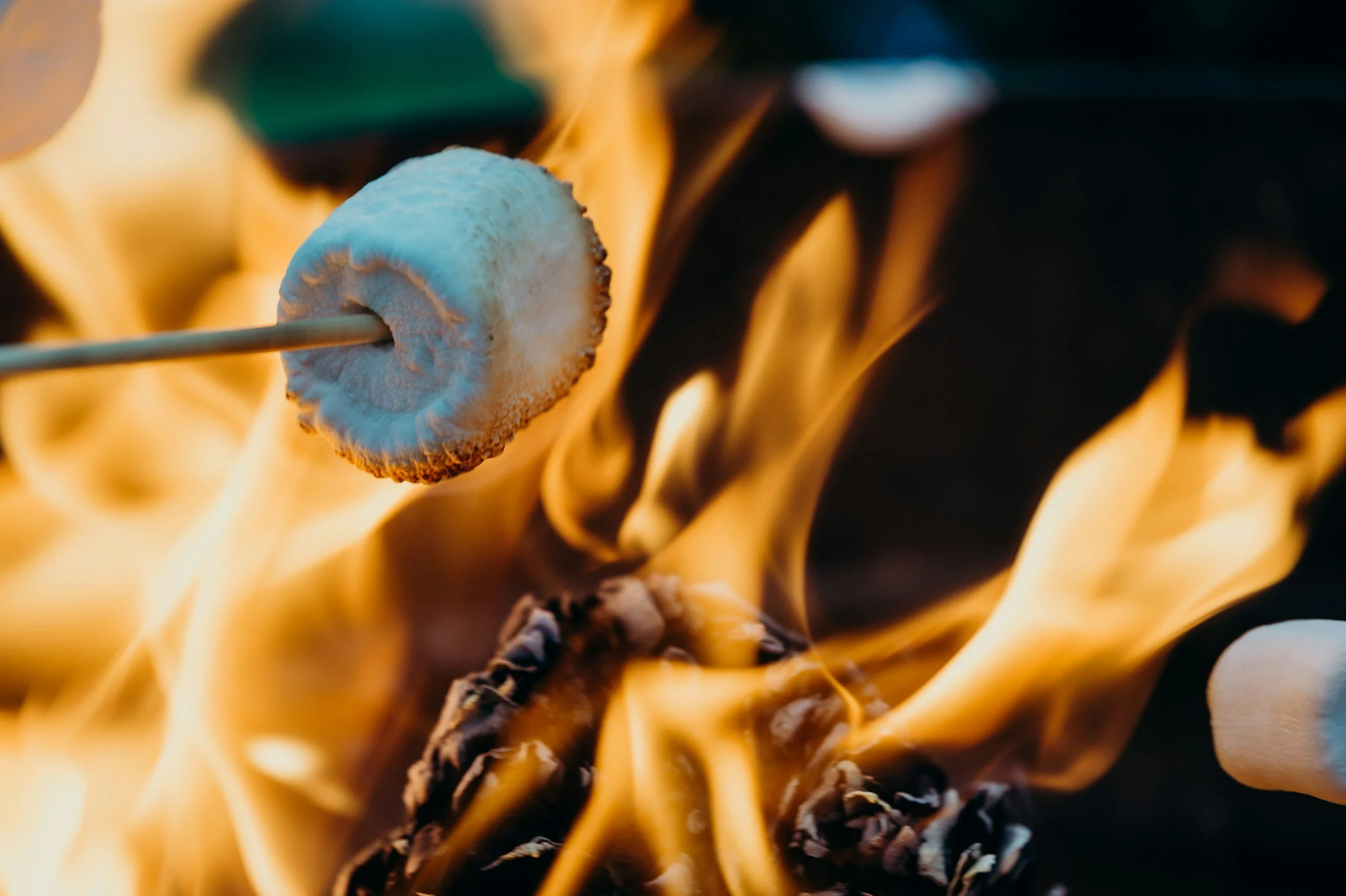 Campfire Program - MacKerricher
