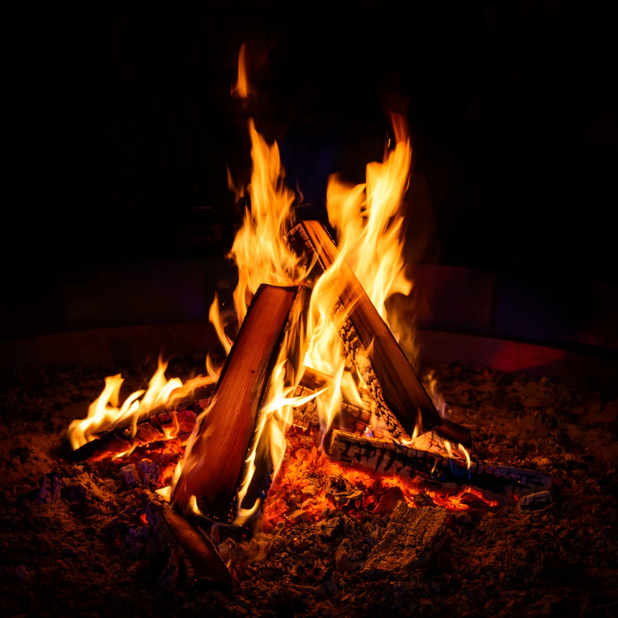 Campfire Program (Van Damme)