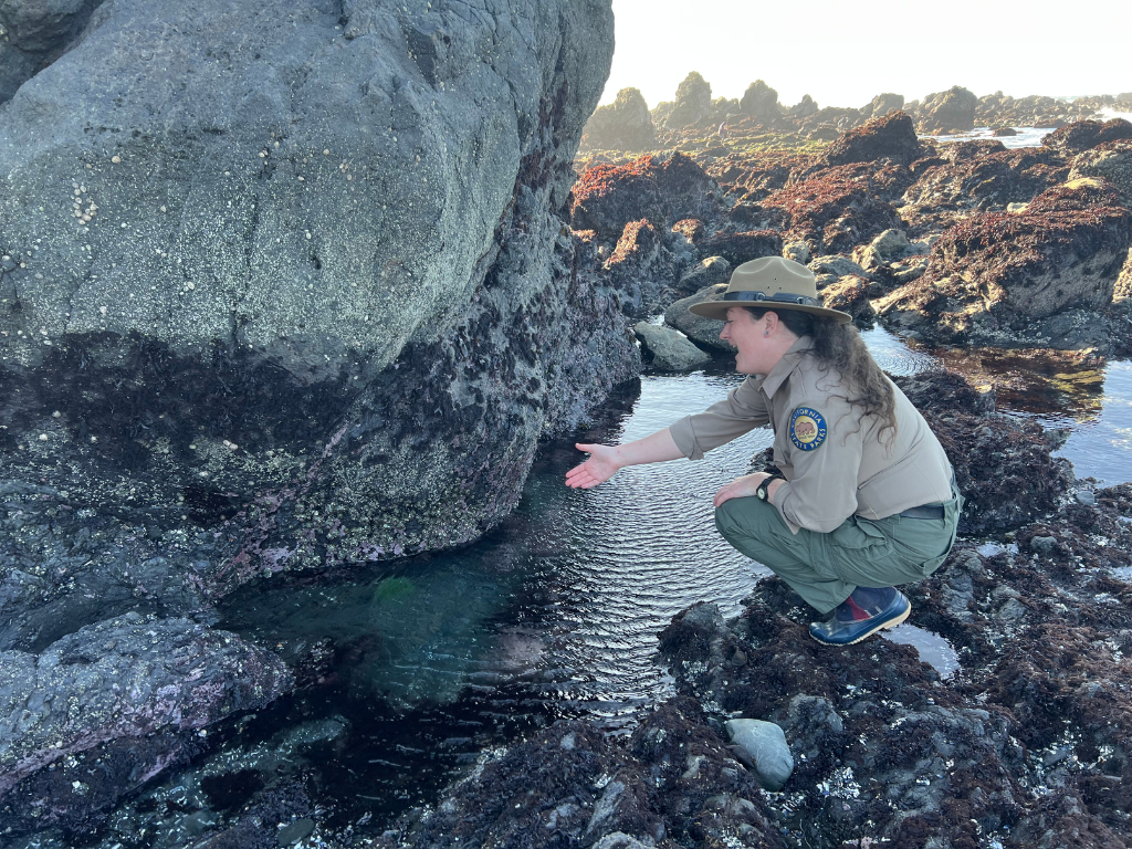Tour Terrific Tide Pools - California Biodiversity Week Celebration