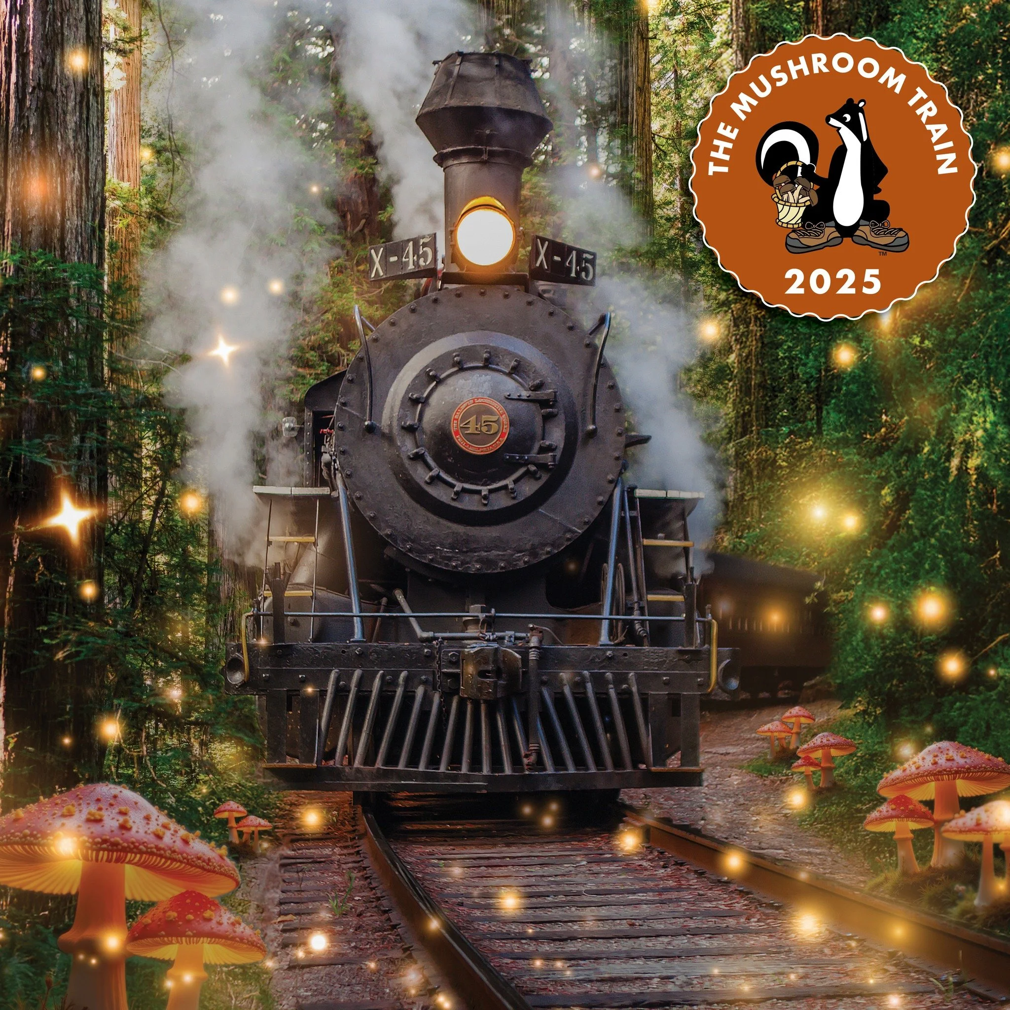 Tickets are NOW available for the 2025 Mushroom Train! This year's event is NEW AND IMPROVED - A DJ Dance stage, three live bands, Guided Forest Bathing walks, and course, excellent food and drinks (including a signature Mushroom Themed Cocktail). Ge