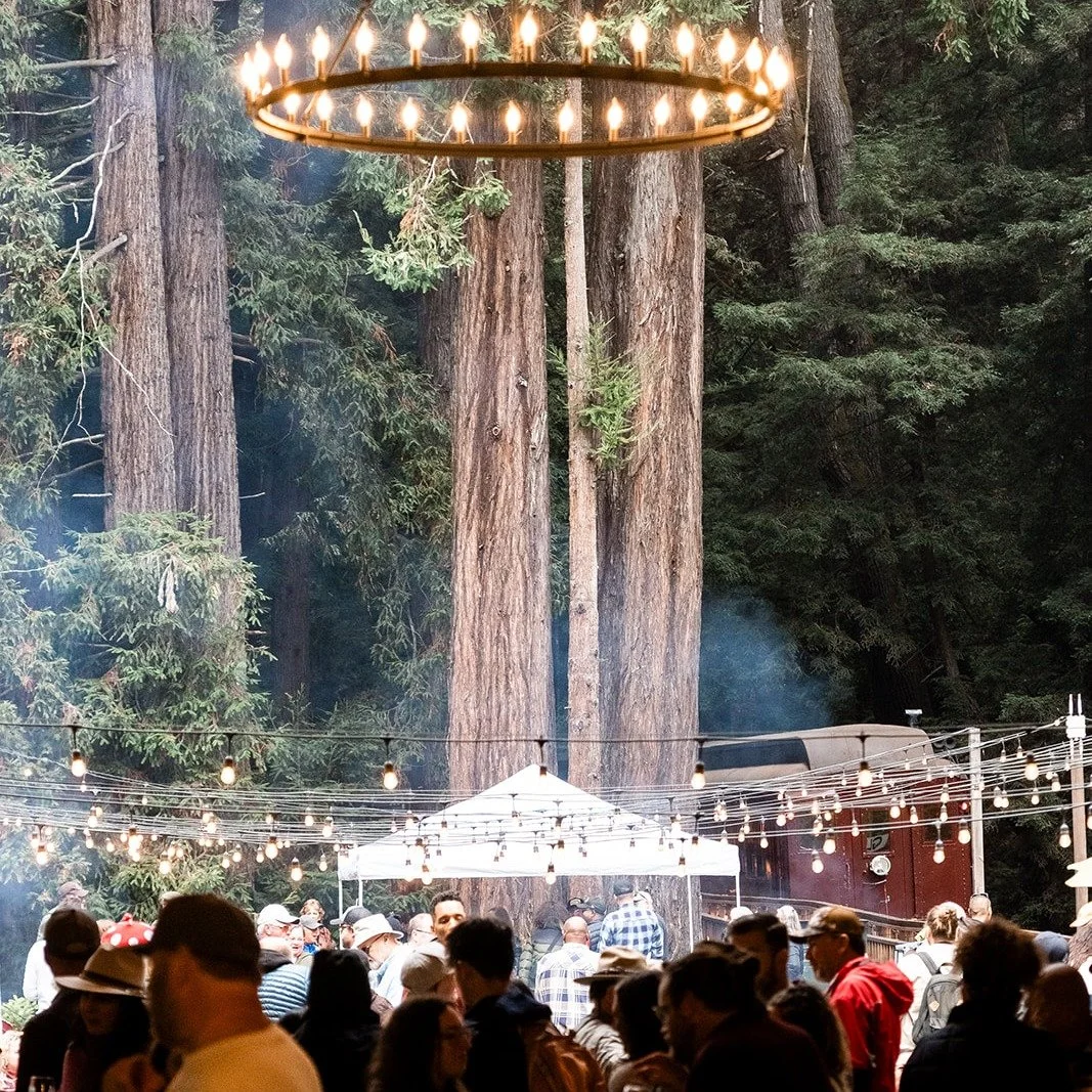 The Mushroom Train is coming soon! Get your tickets now for this incredible fundraiser, featuring live bands, DJ train car, forest bathing and much more. Also, lodging specials from (@littleriverinn @thebeachcombermotel @nicholson_house). visit: http